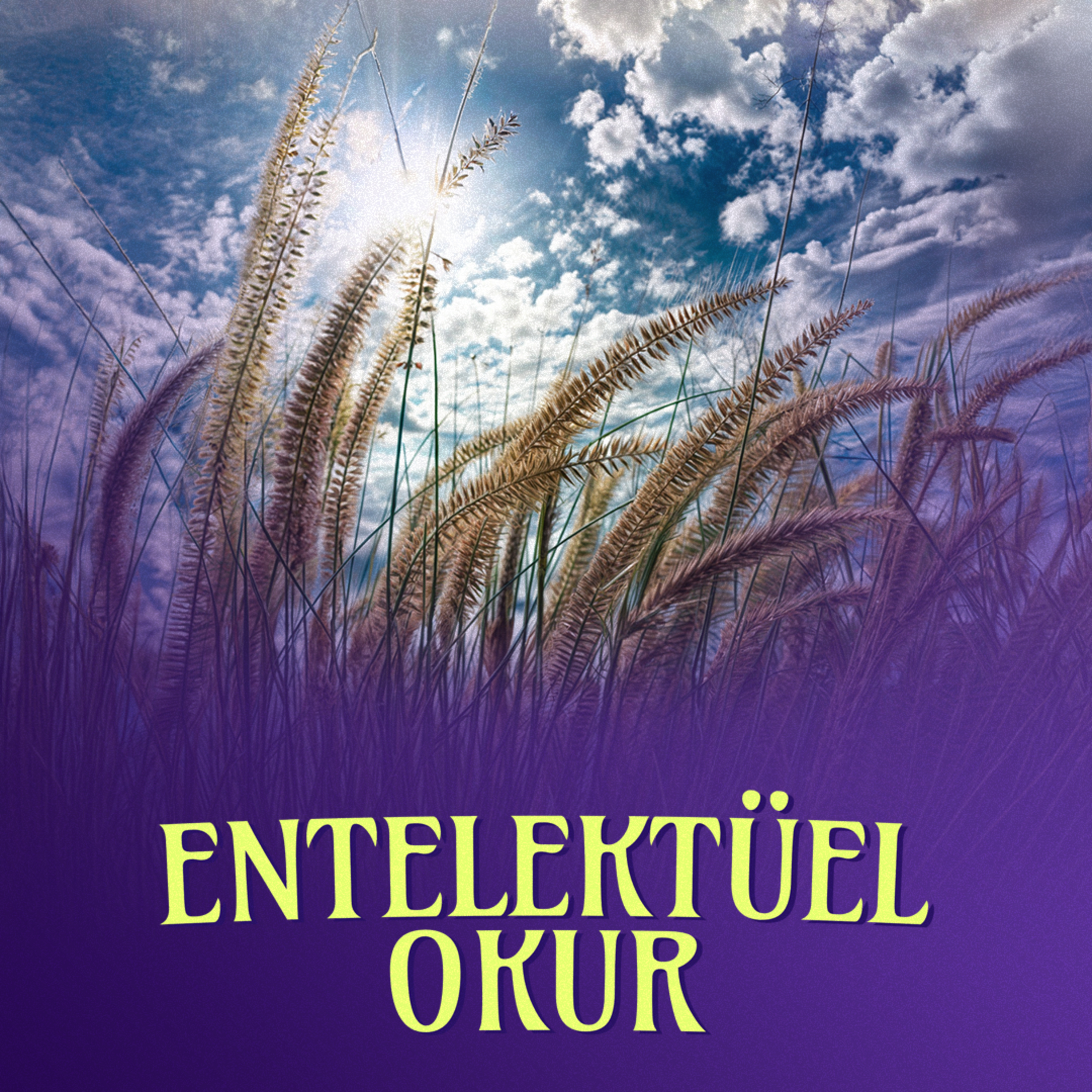 Entelektüel Okur