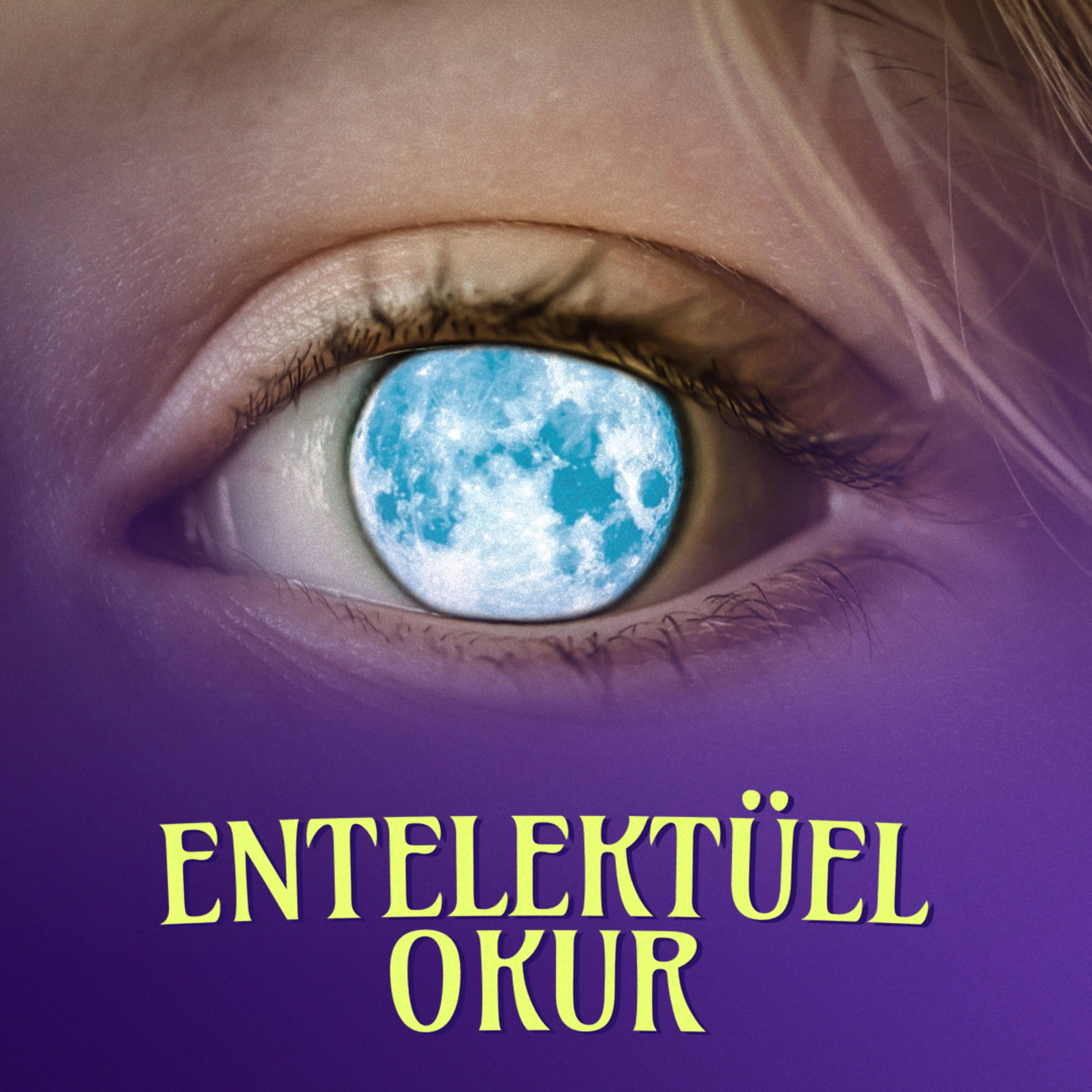 Entelektüel Okur