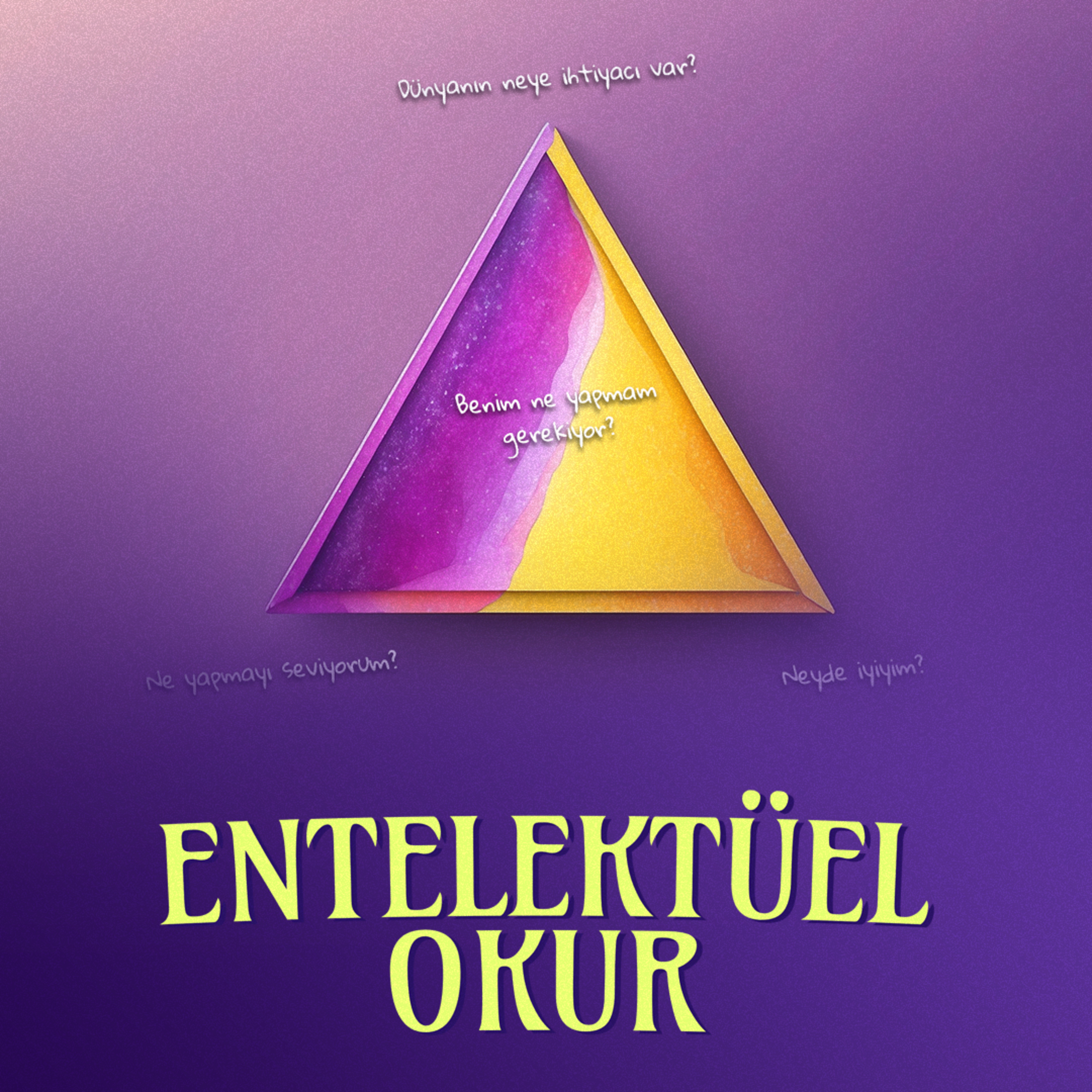 Entelektüel Okur