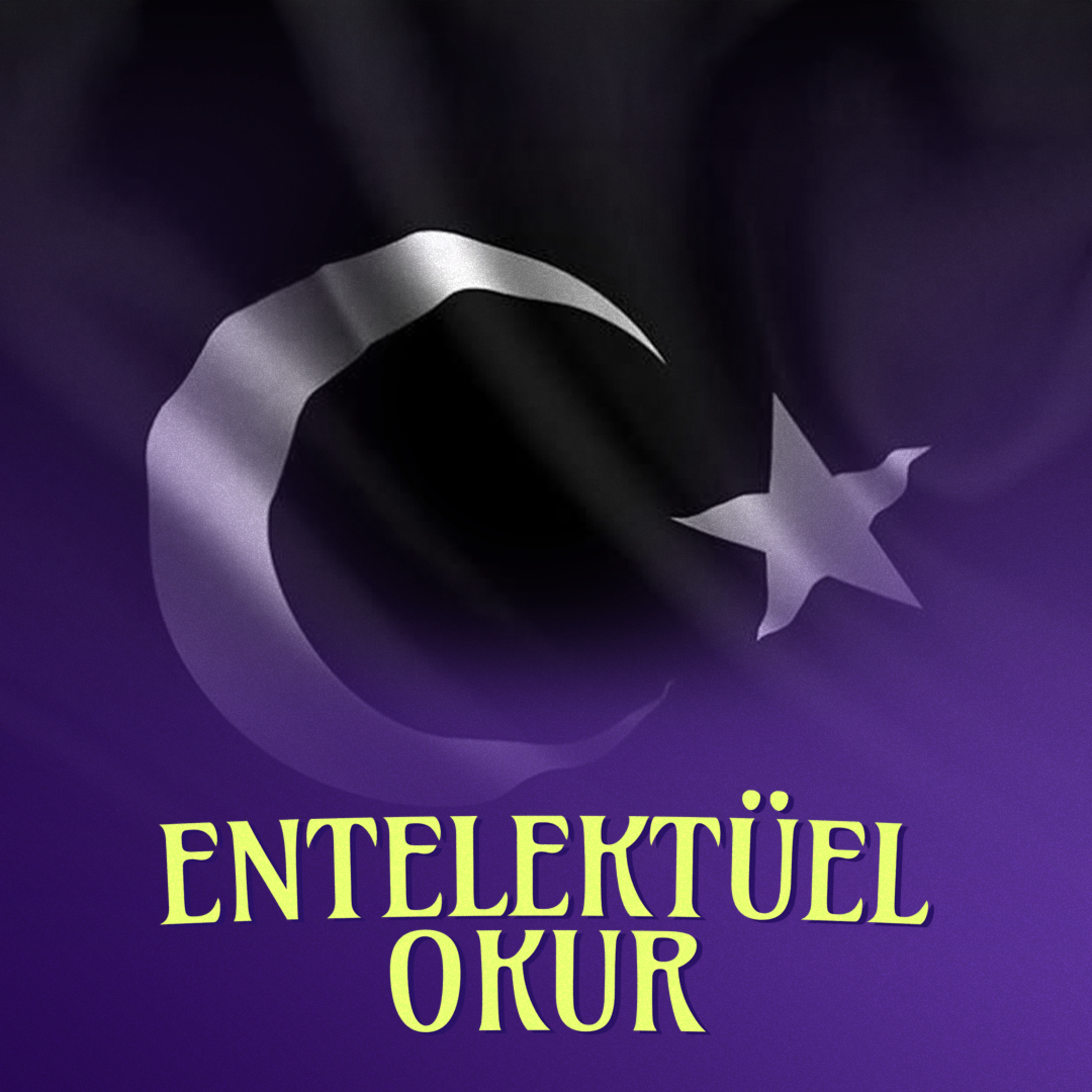 Entelektüel Okur