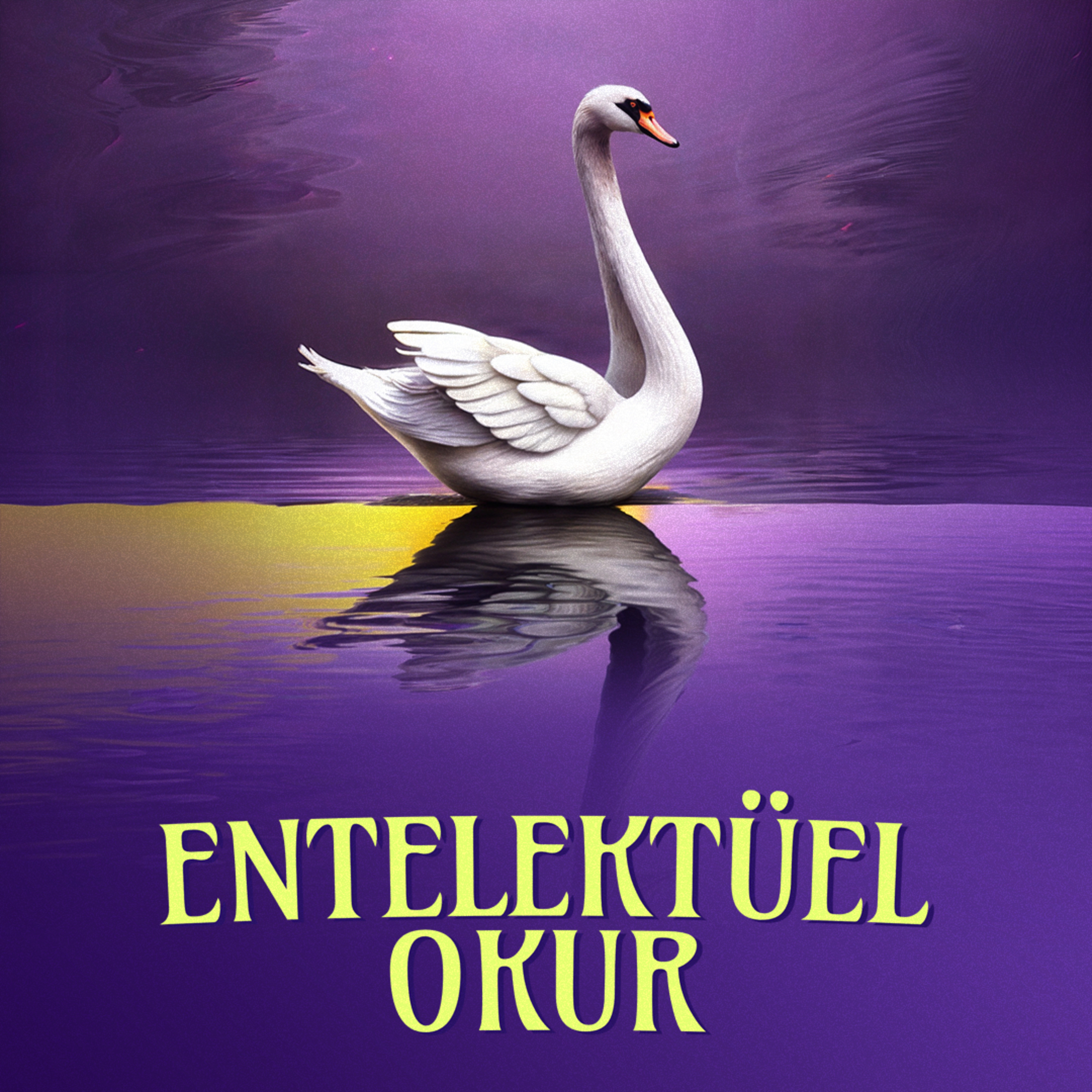 Entelektüel Okur