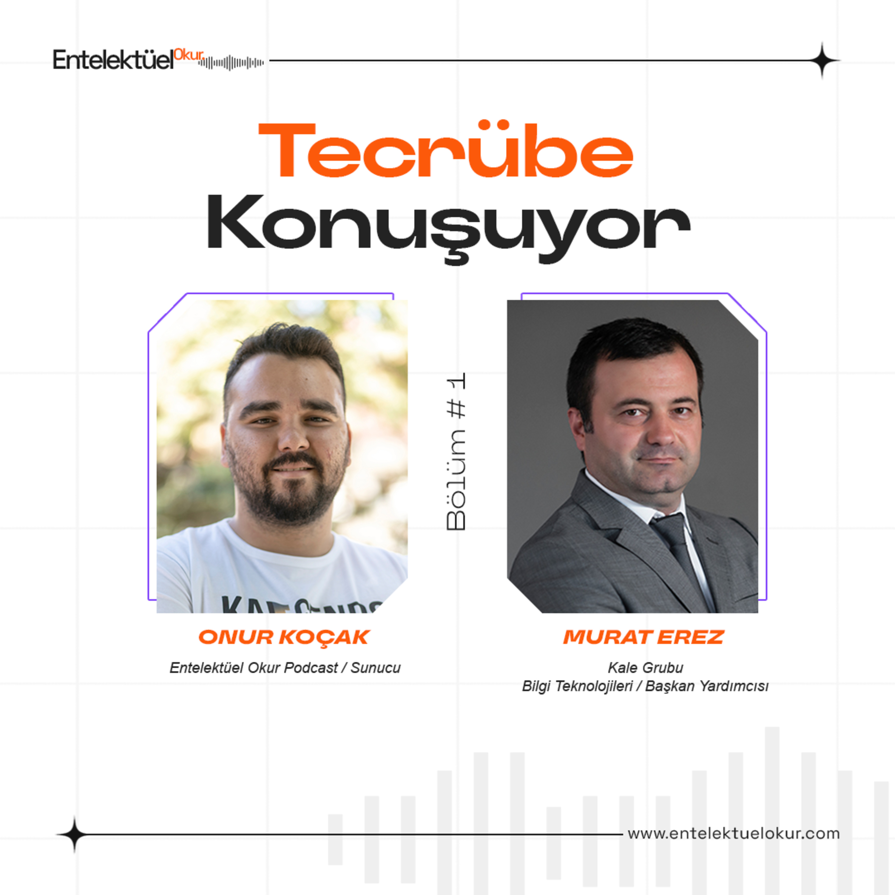 Entelektüel Okur