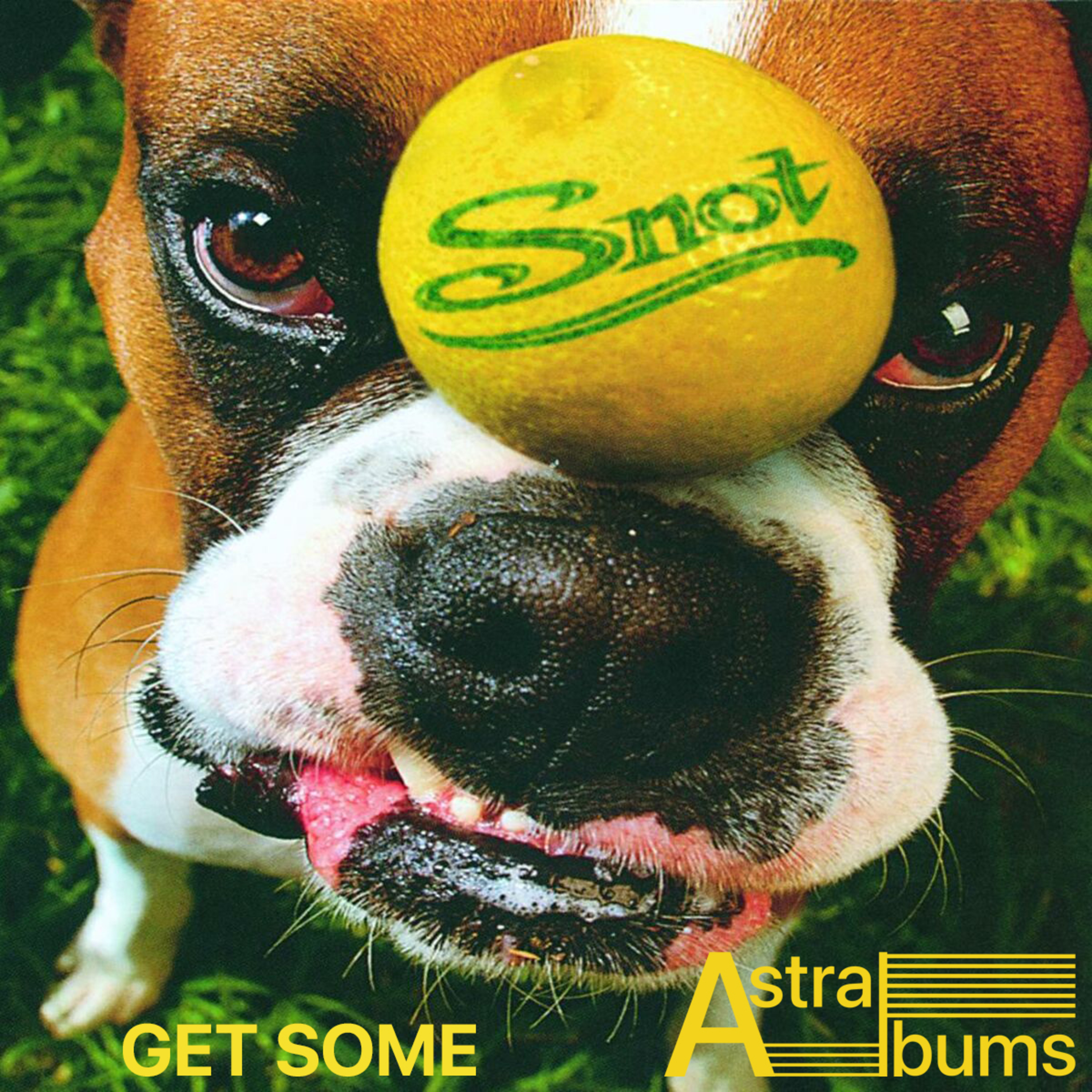 Get Some: La "innovación" melodicamente olvidada de Snot | Astralbums episode artwork