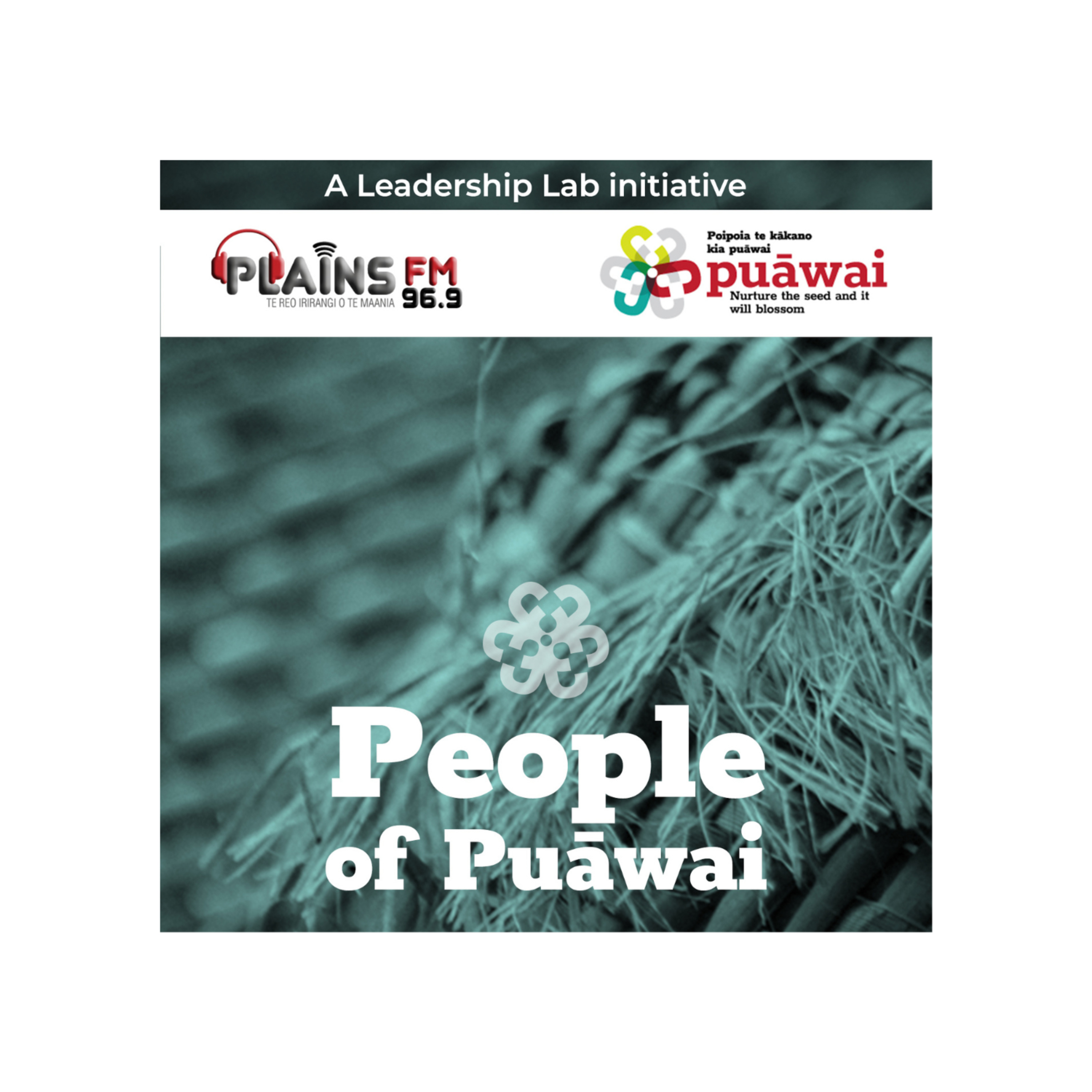 People of Puāwai 2 Ep2: Beyond the Waves: Moana 2 Review episode artwork