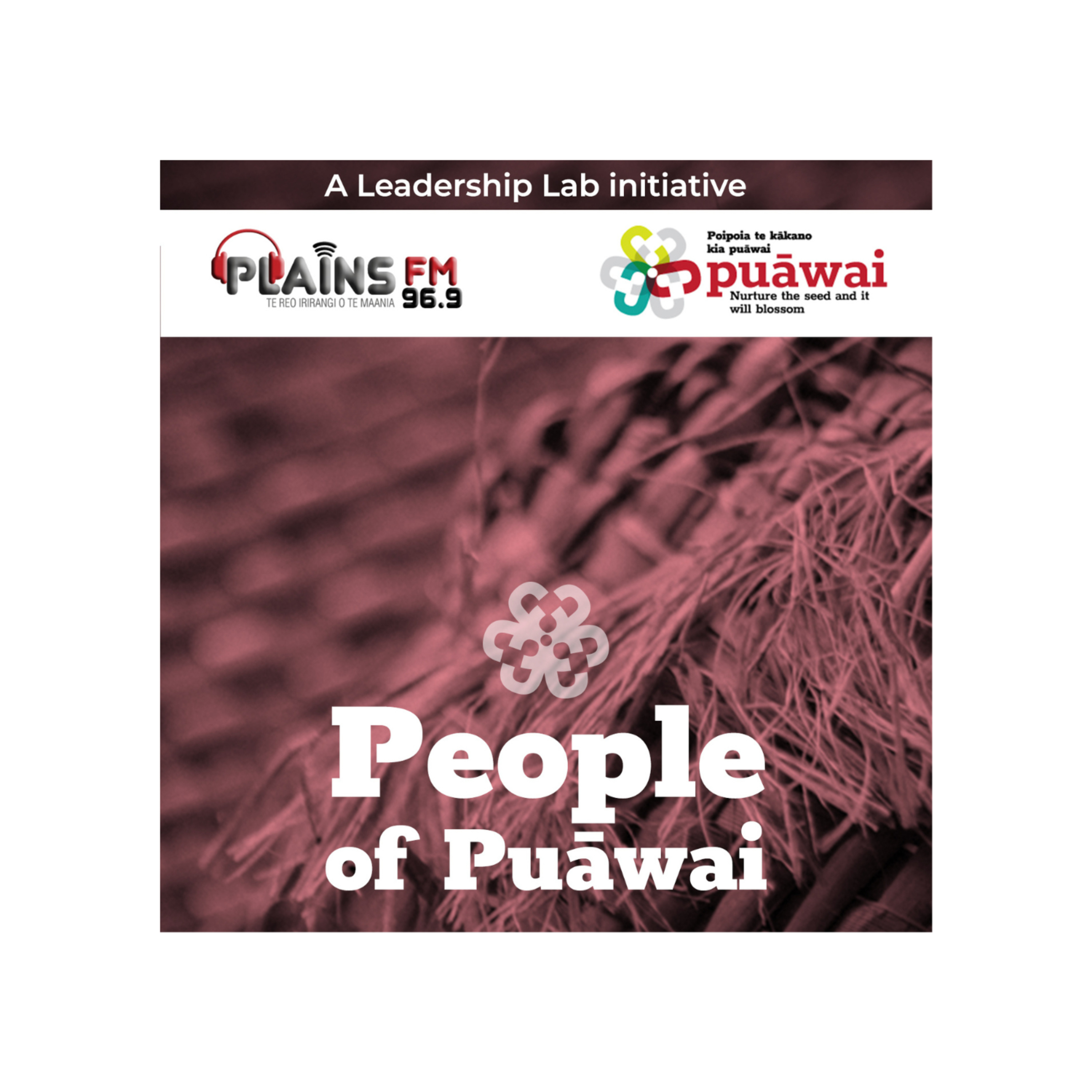 People of Puāwai 2 Ep4: Ngā Wāhine Toa episode artwork