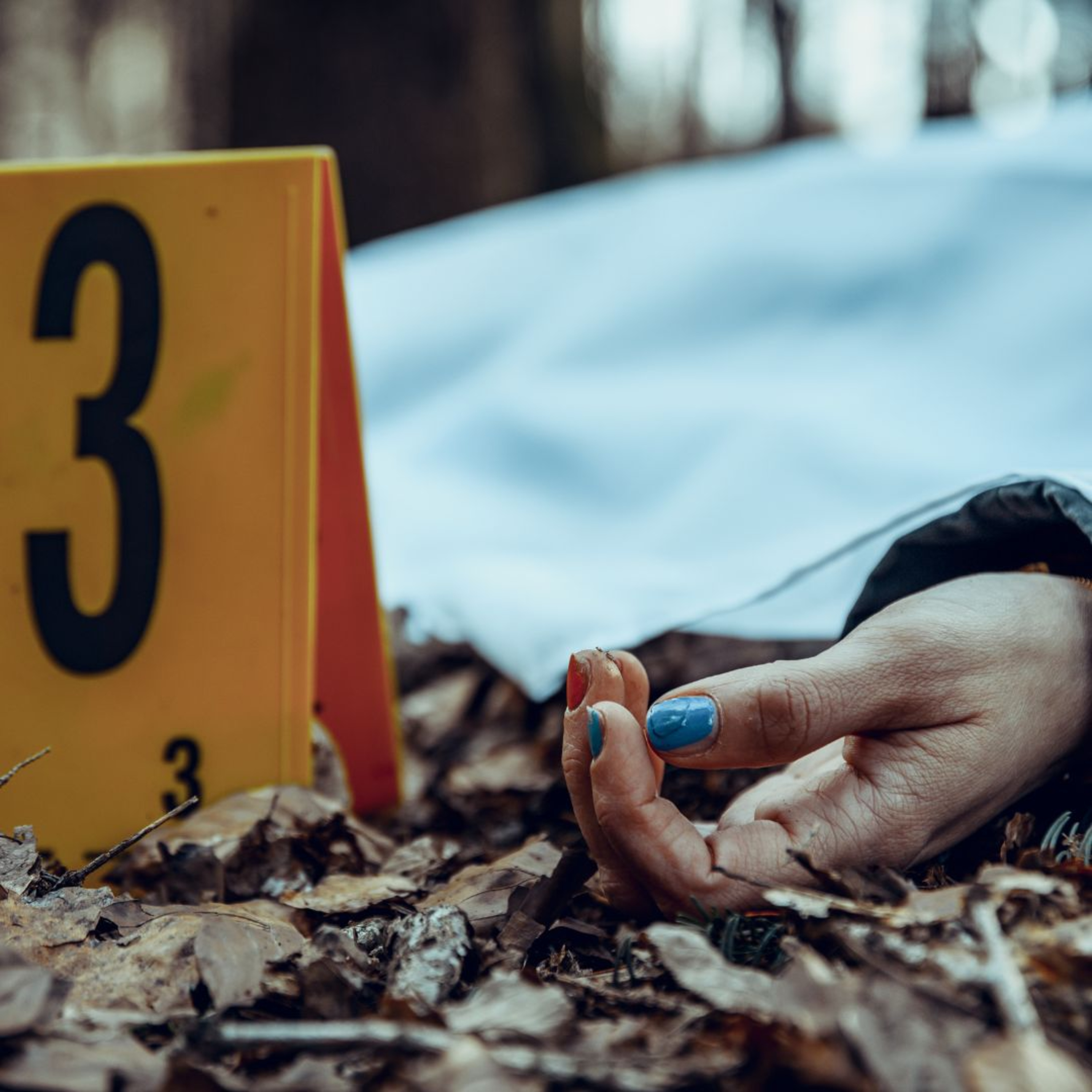 Thrill of the Chill: Exploring Our Addiction To True Crime episode artwork