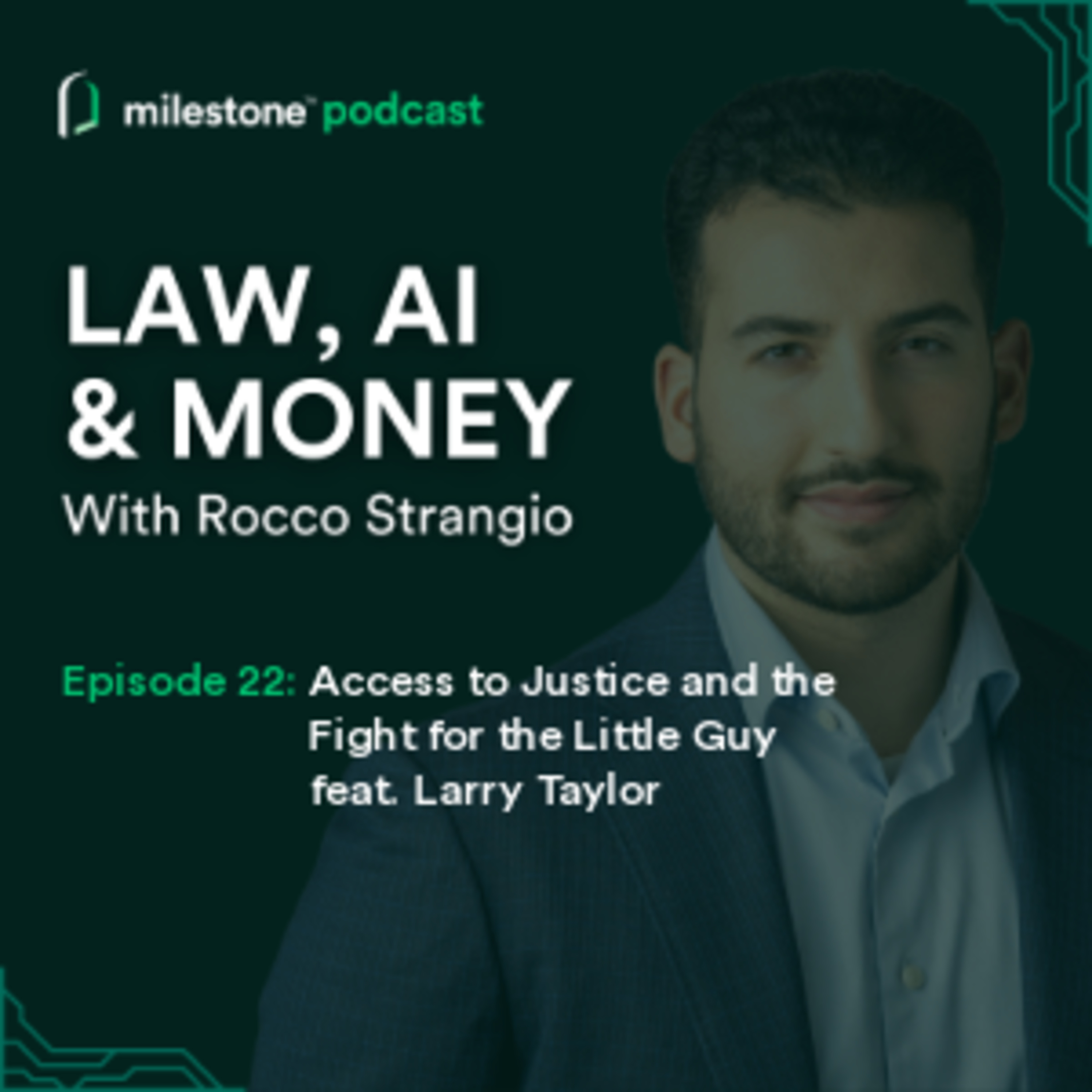Law, AI & Money
