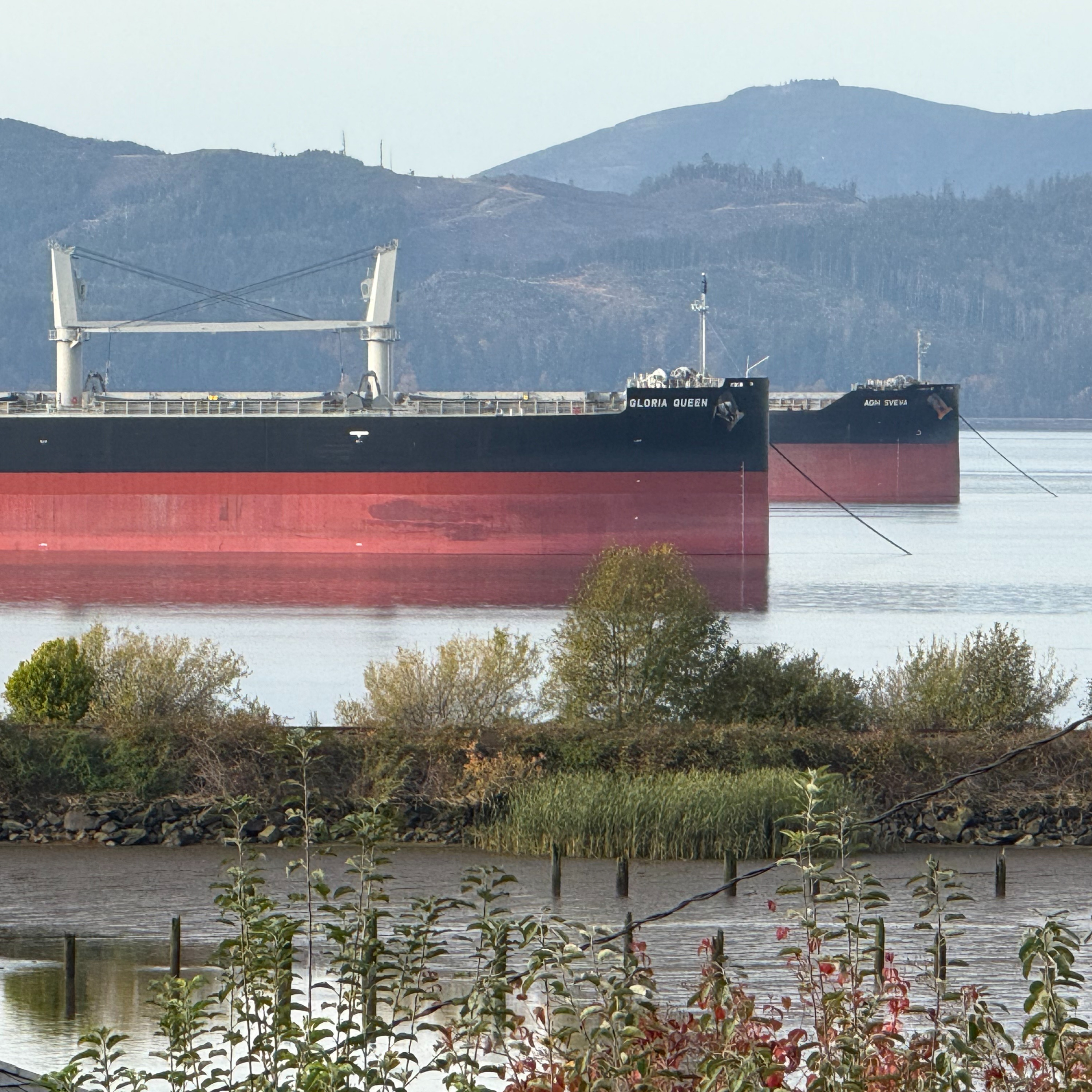The Ship Report, Tuesday, November 4, 2025