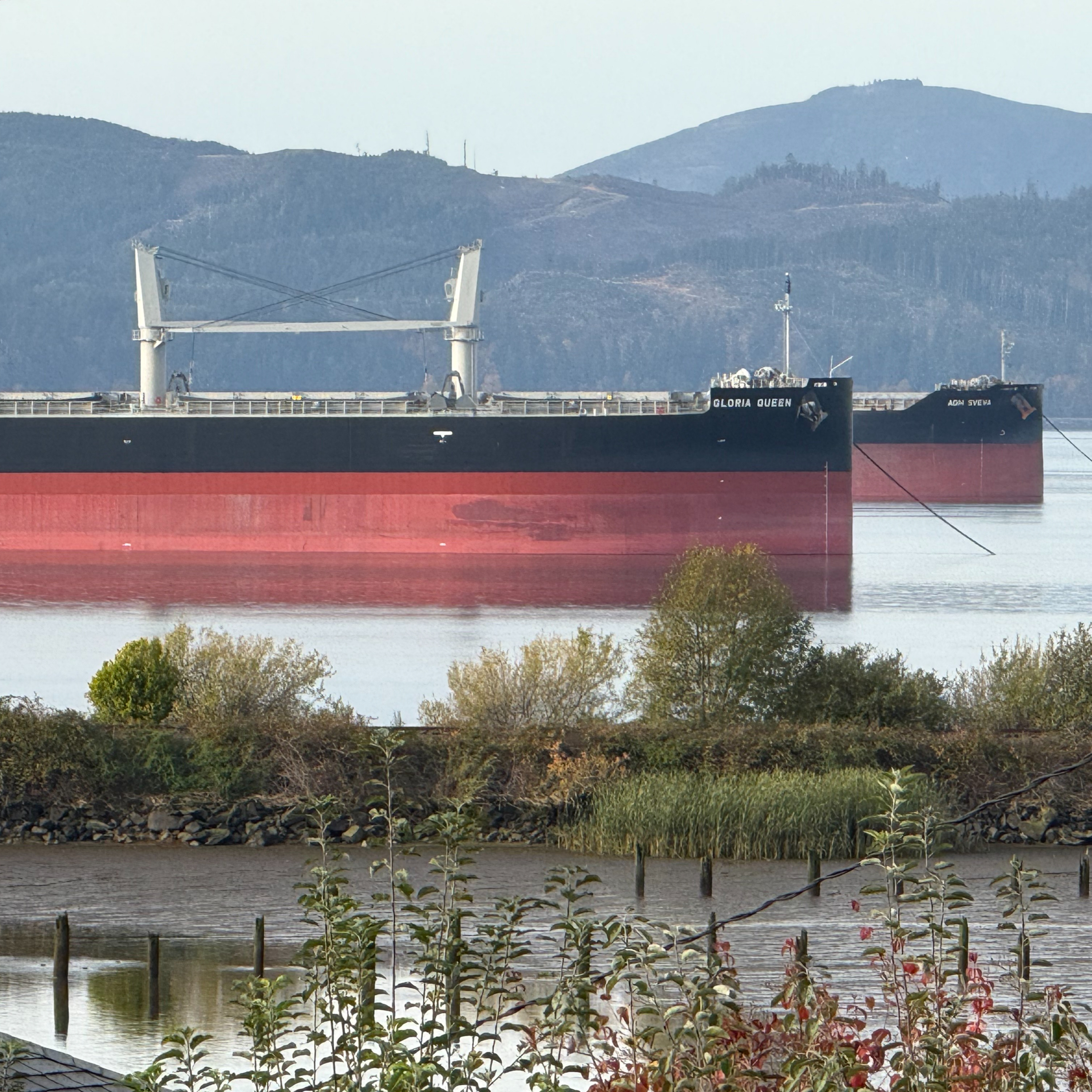 The Ship Report, Wednesday, January 7, 2025
