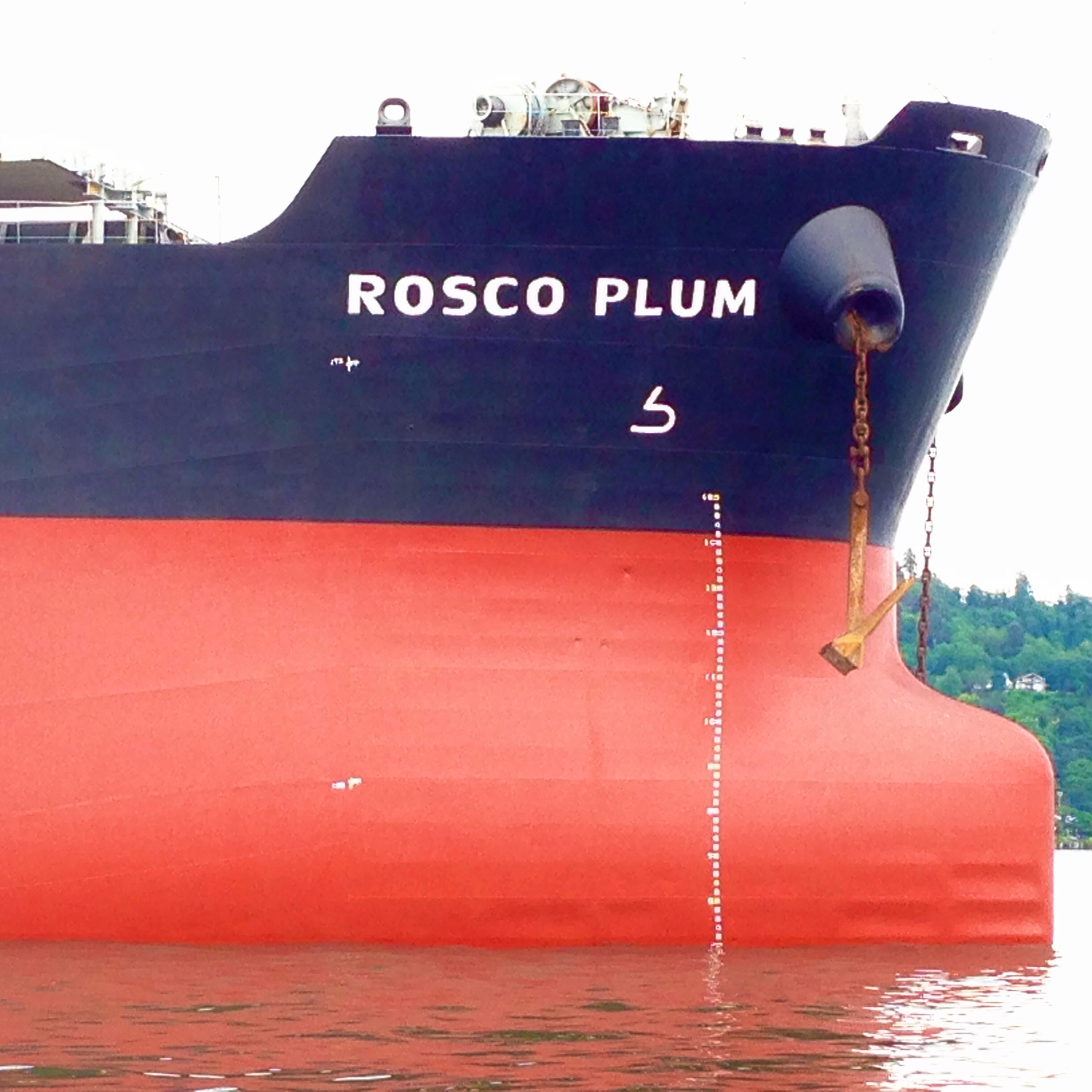 The Ship Report, Thursday, February 12, 2026