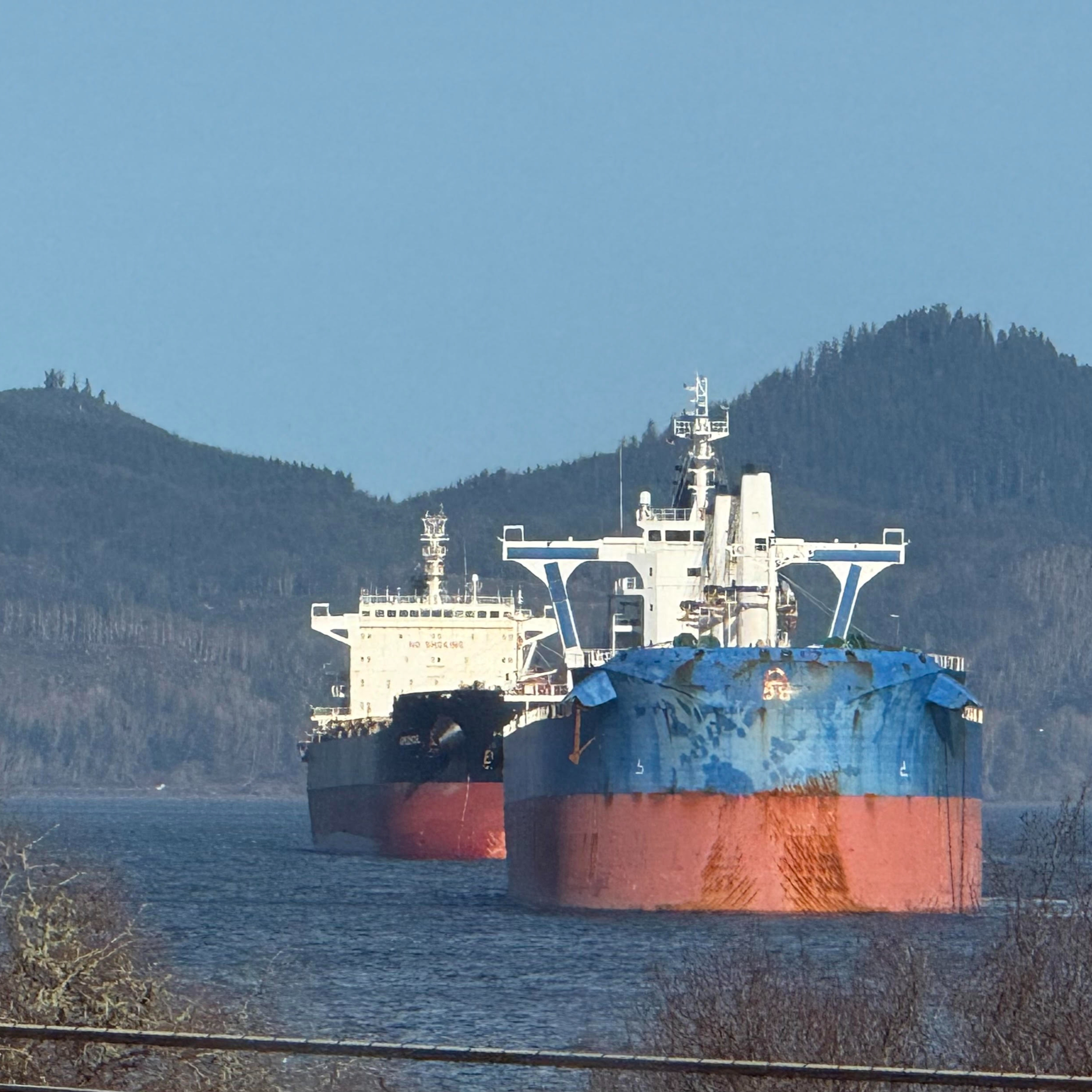 The Ship Report: a look at patterns in our ships and ports episode artwork