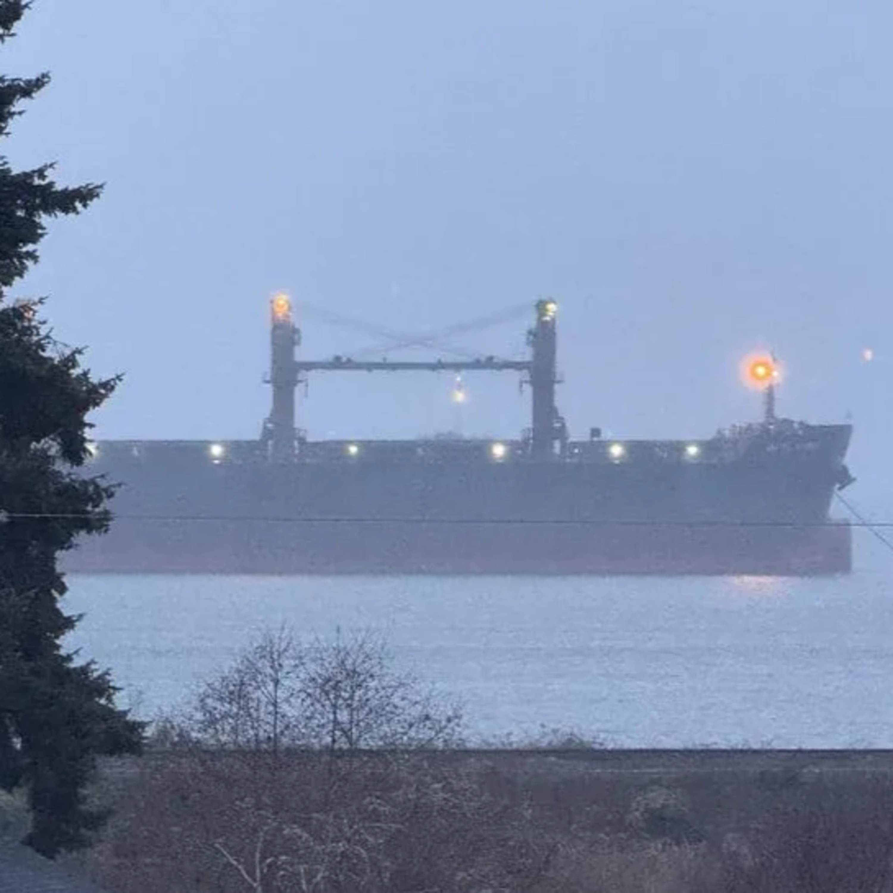 The Ship Report: A look in the archives, all about Bulk Carriers, Part 1 episode artwork