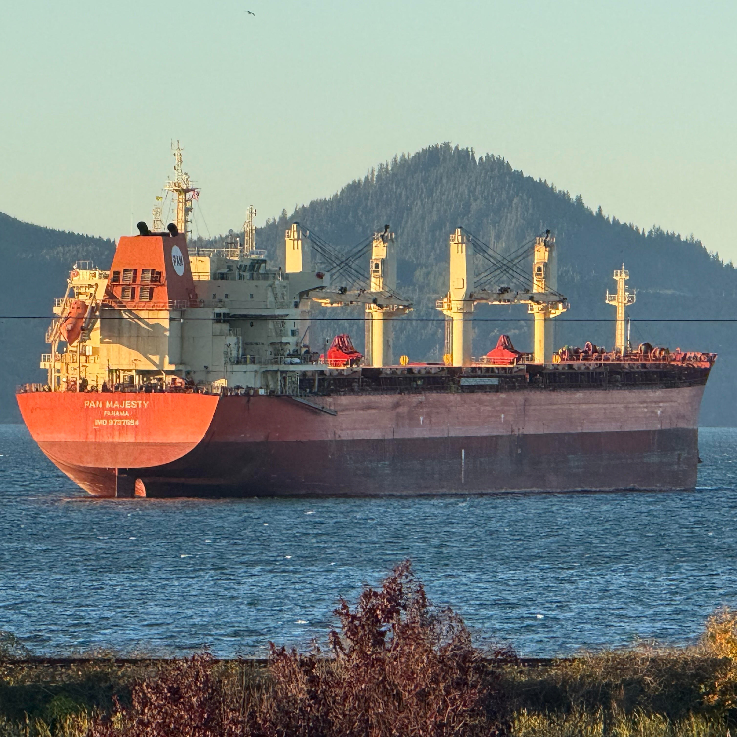 The Ship Report: From the Ship Report archives: an in-depth look at Bulk Carriers, Part 2 episode artwork