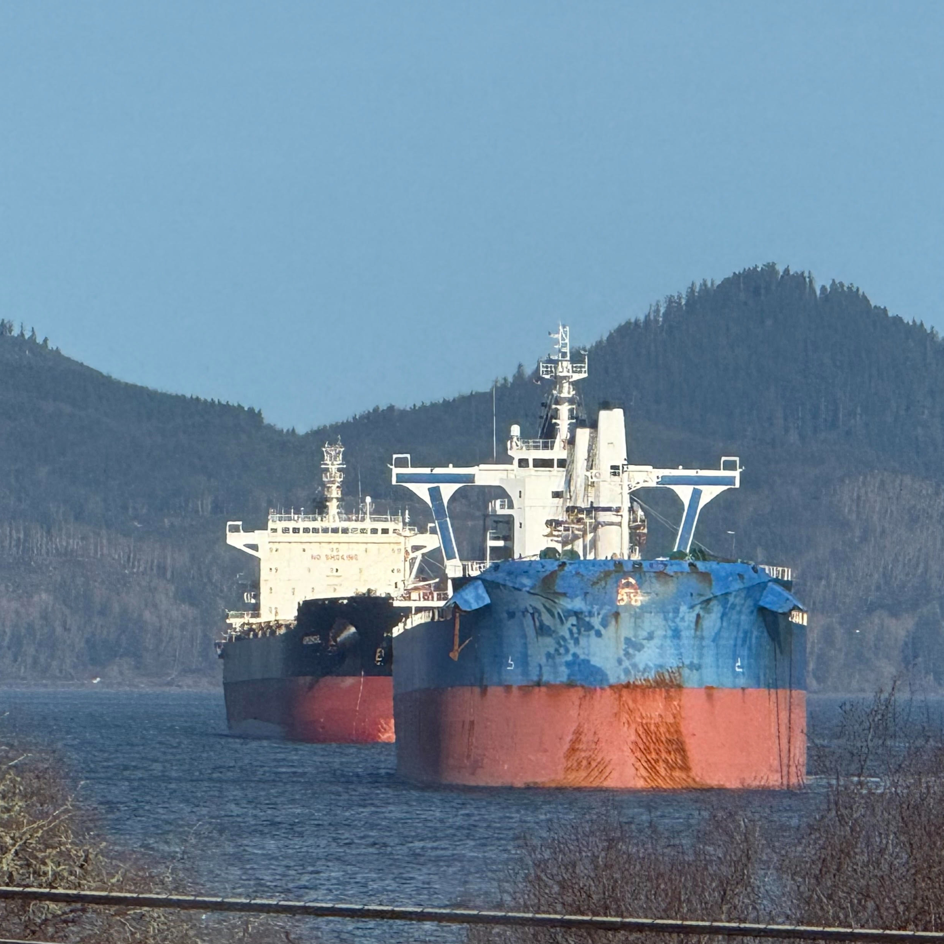 The Ship Report: From the Ship Report archives: an in-depth look at Bulk Carriers, Part 3 episode artwork
