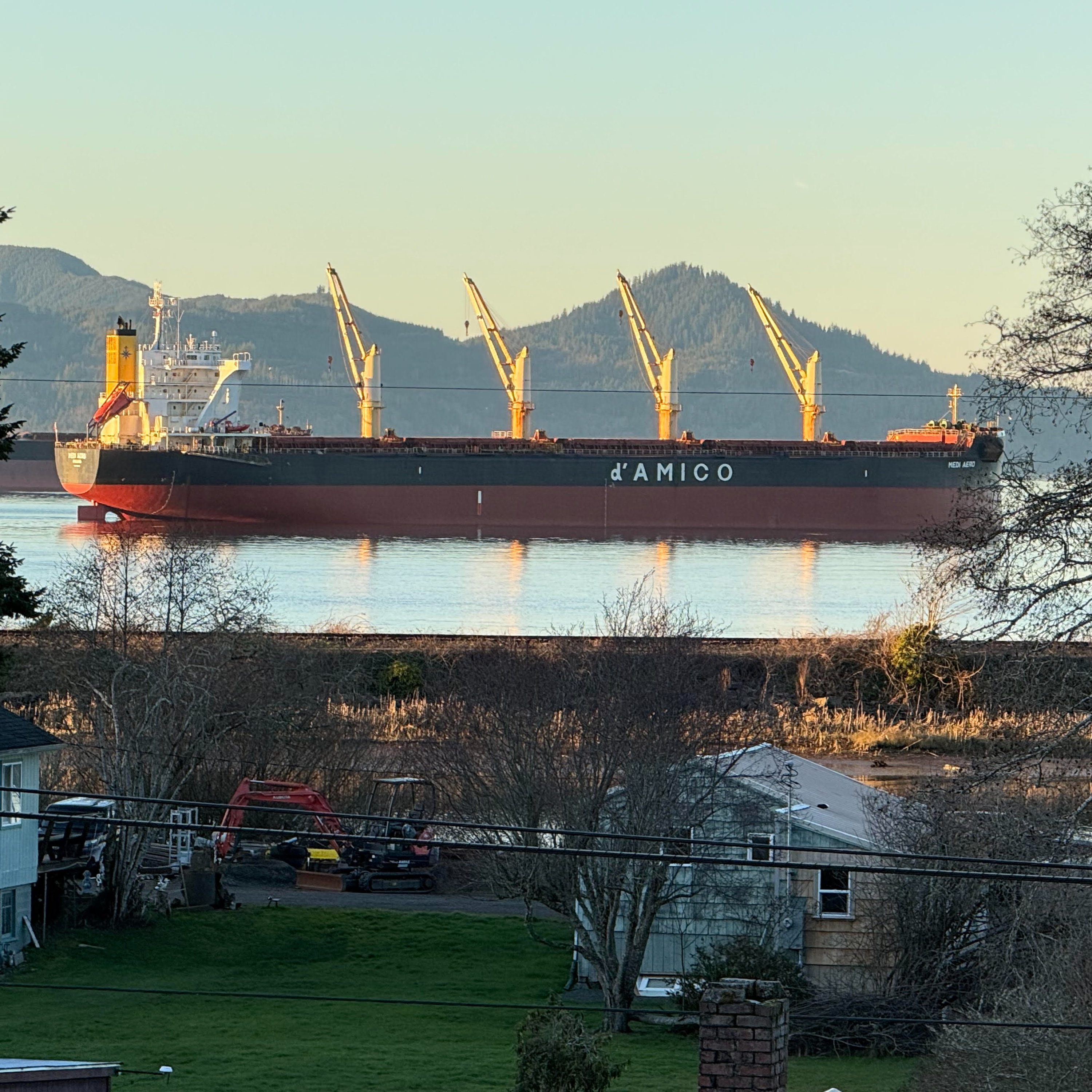 The Ship Report: From the Ship Report archives: an in-depth look at Bulk Carriers, Part 4 episode artwork