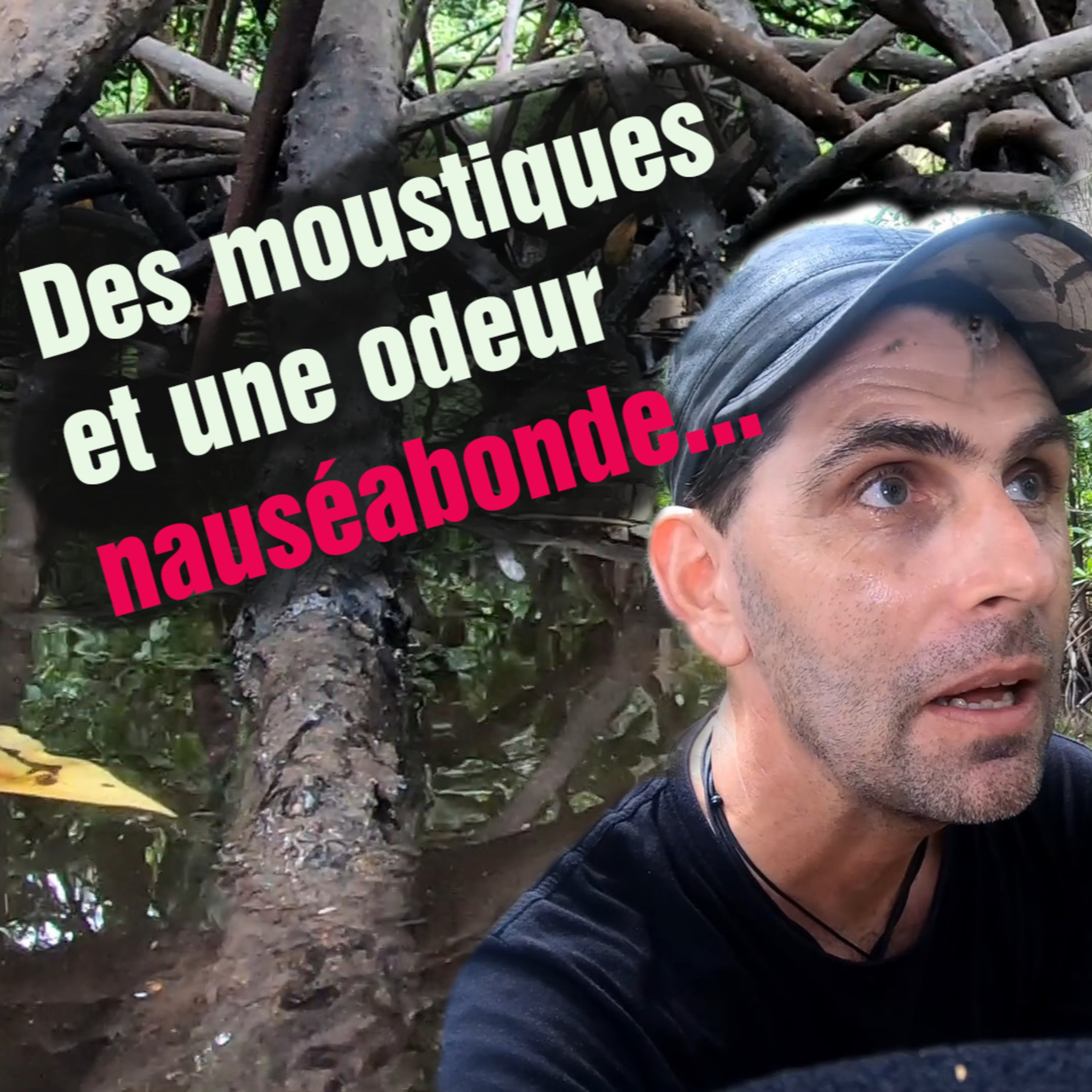 (FR) Chanee dans la Jungle