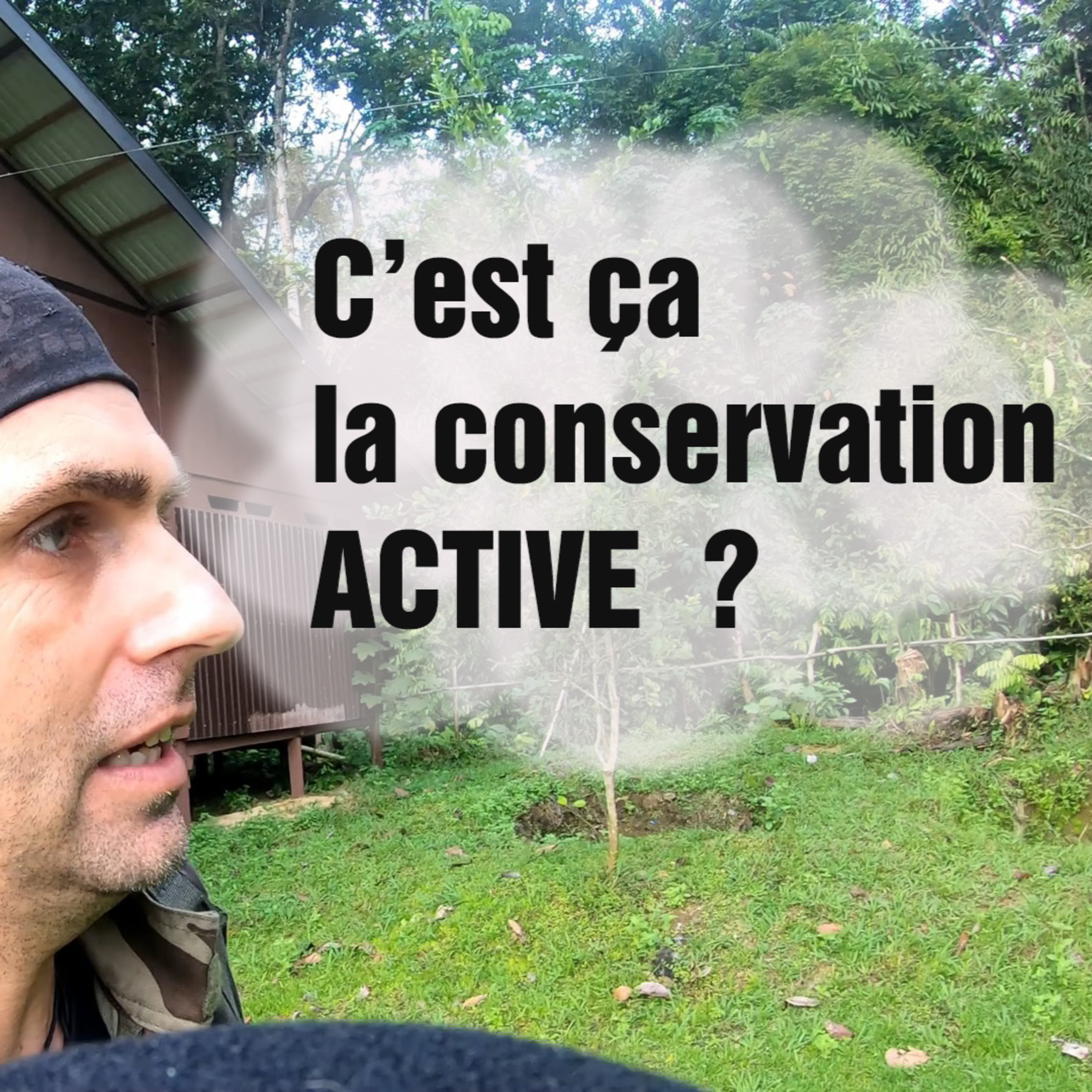 (FR) Chanee dans la Jungle