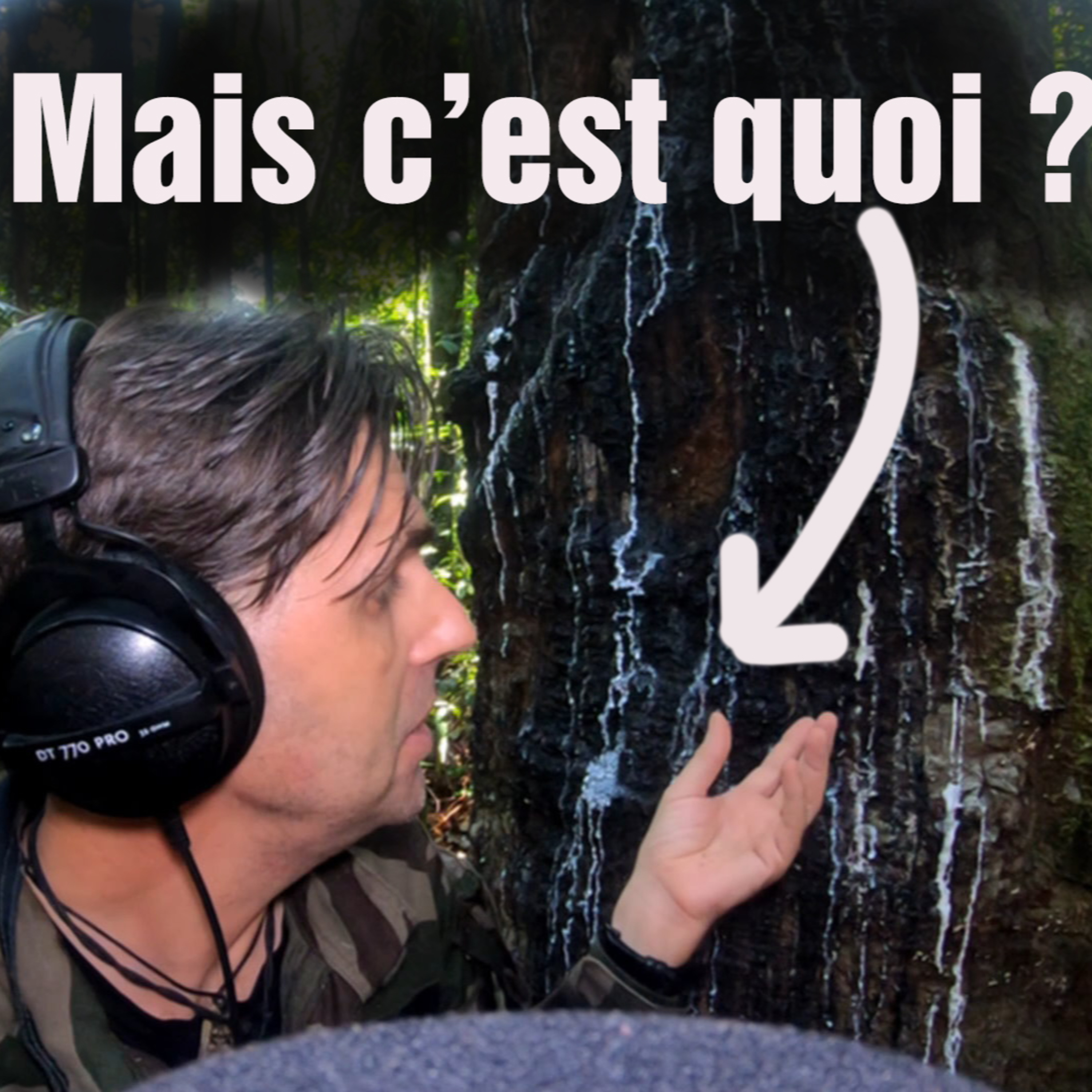 (FR) Chanee dans la Jungle