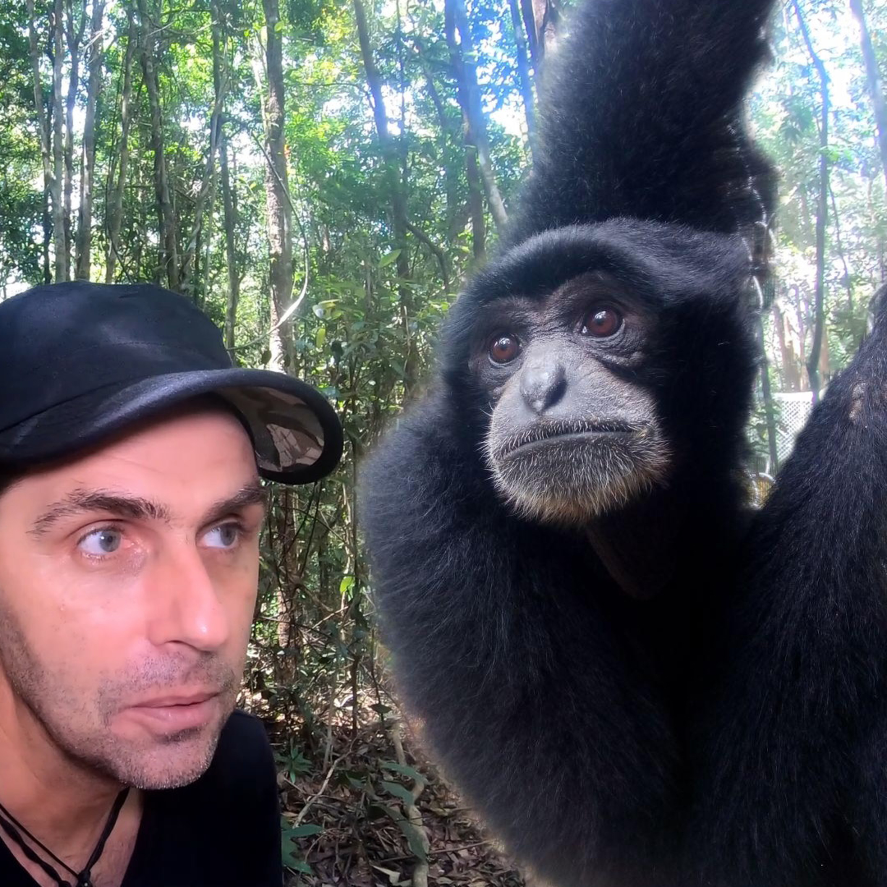 (FR) Chanee dans la Jungle