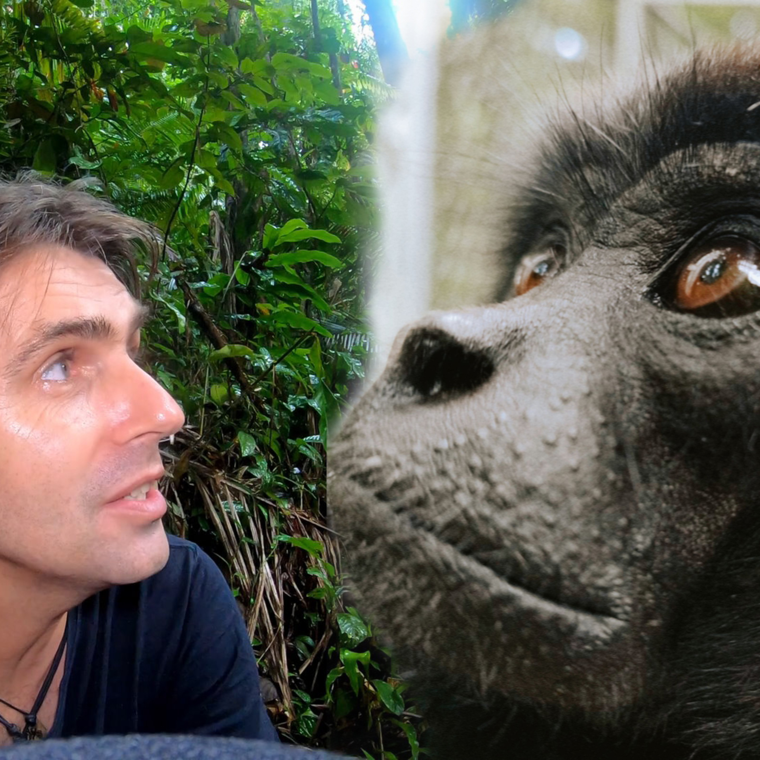 (FR) Chanee dans la Jungle