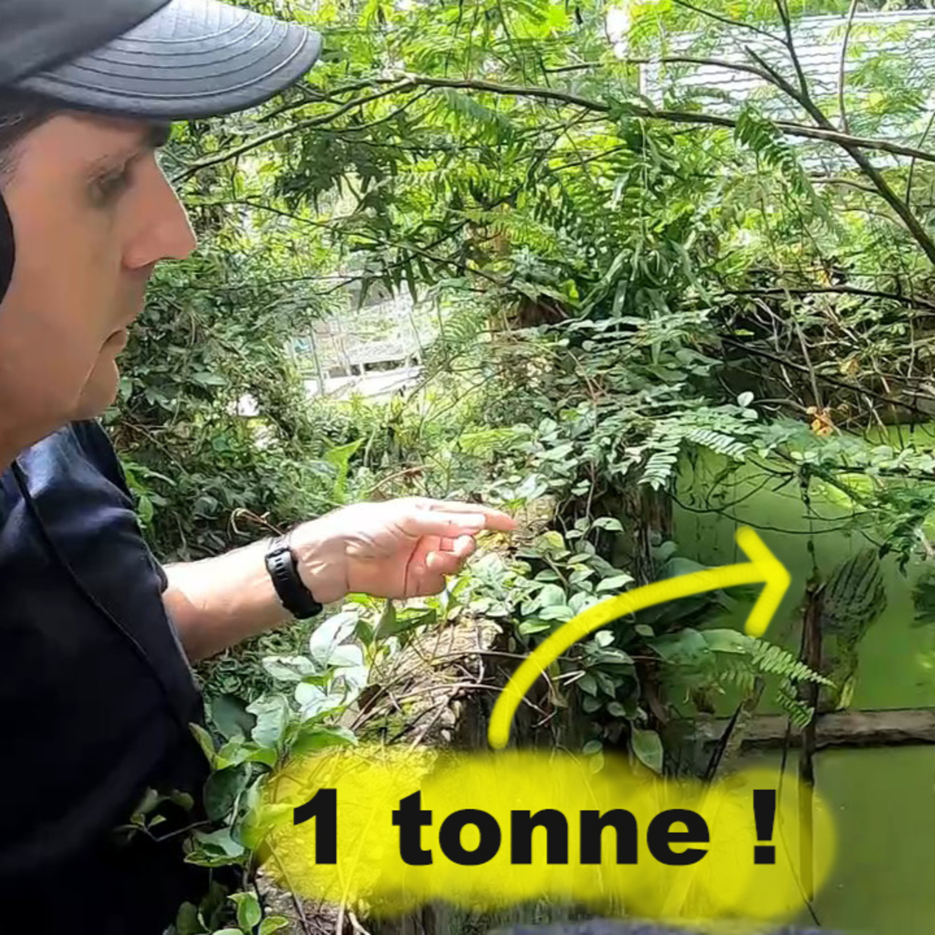 (FR) Chanee dans la Jungle