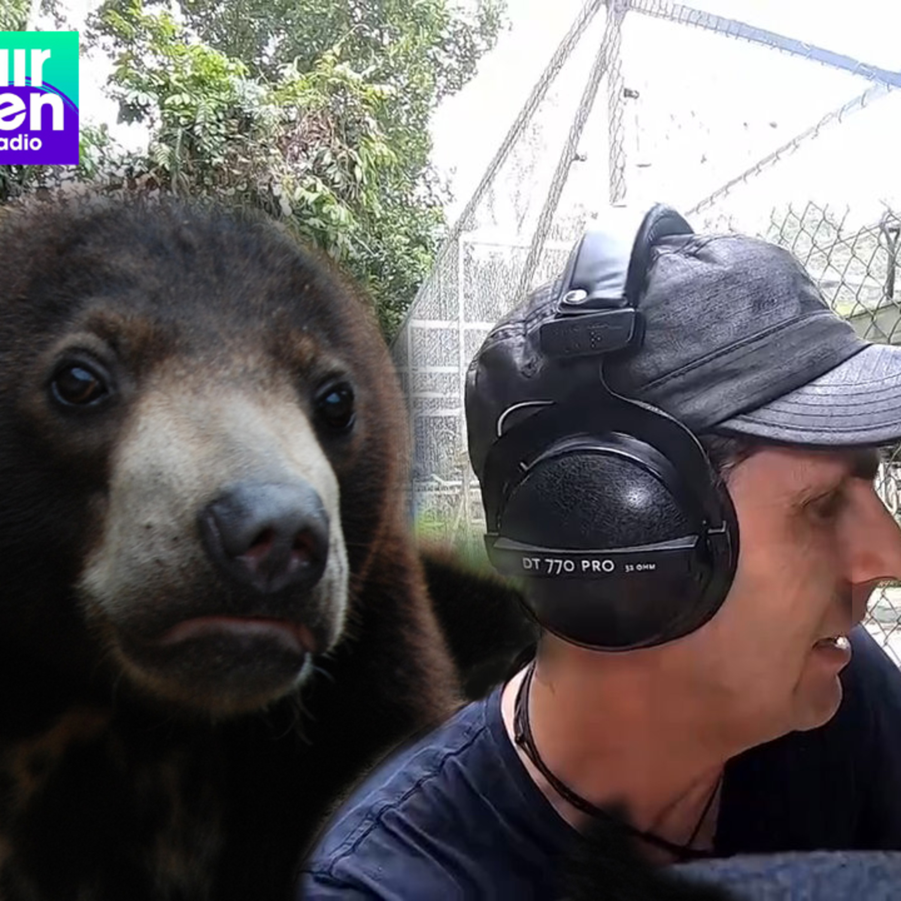 (FR) Chanee dans la Jungle