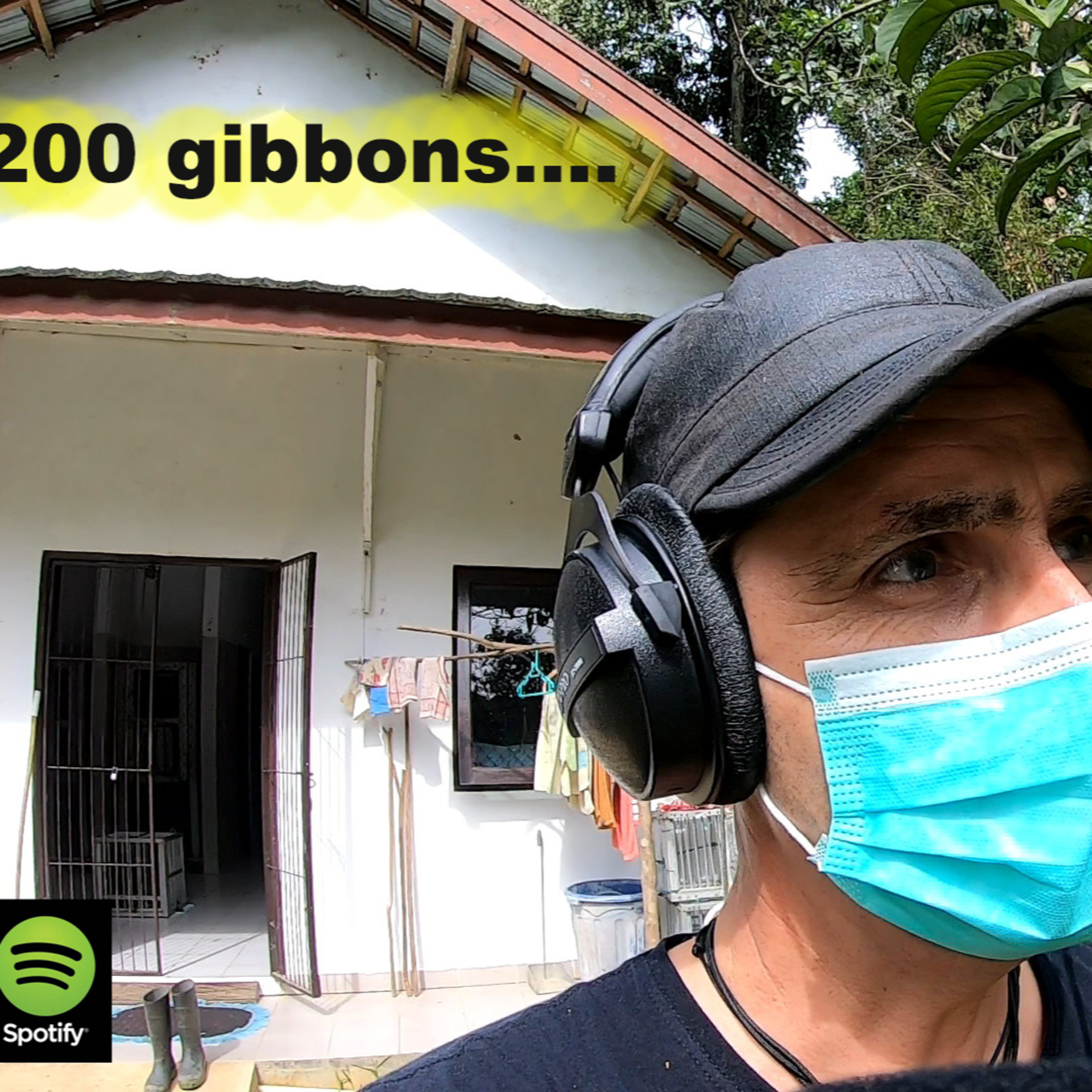 (FR) Chanee dans la Jungle