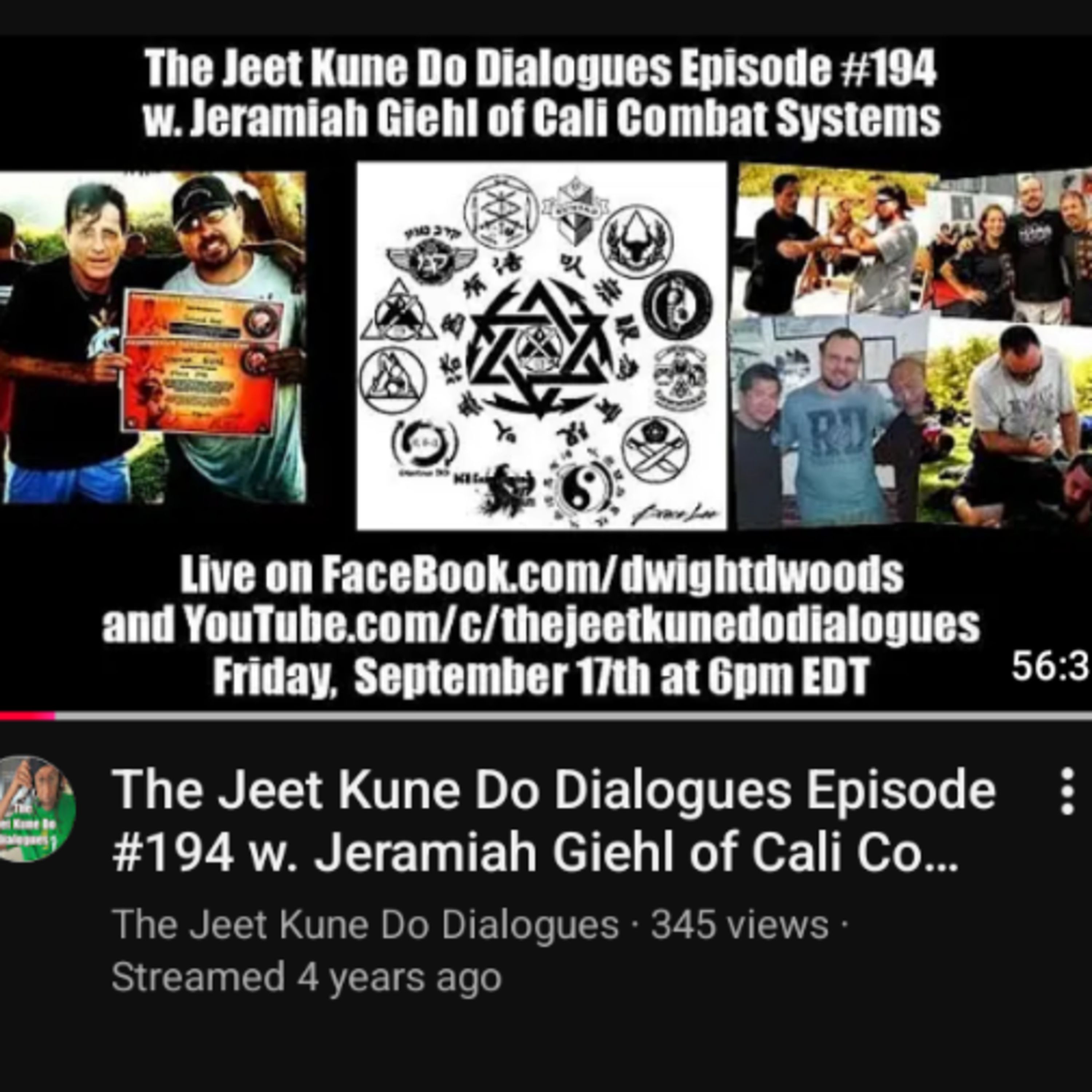 My Martial Arts Background for the JKD Dialogues Episode #194 interview with Sifu Dwight Woods episode artwork