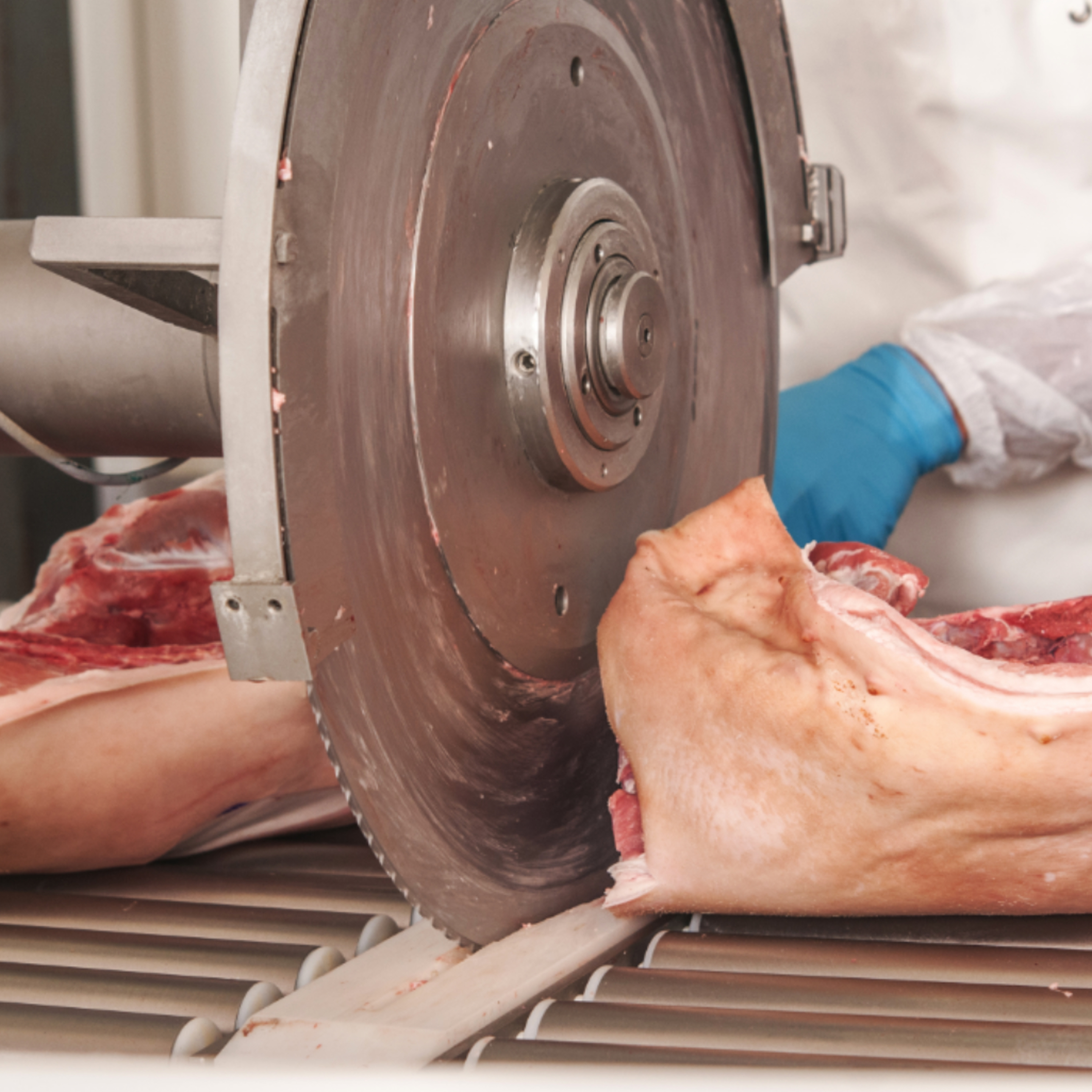Tendencias de producción y consumo de carne de cerdo en Reino Unido episode artwork