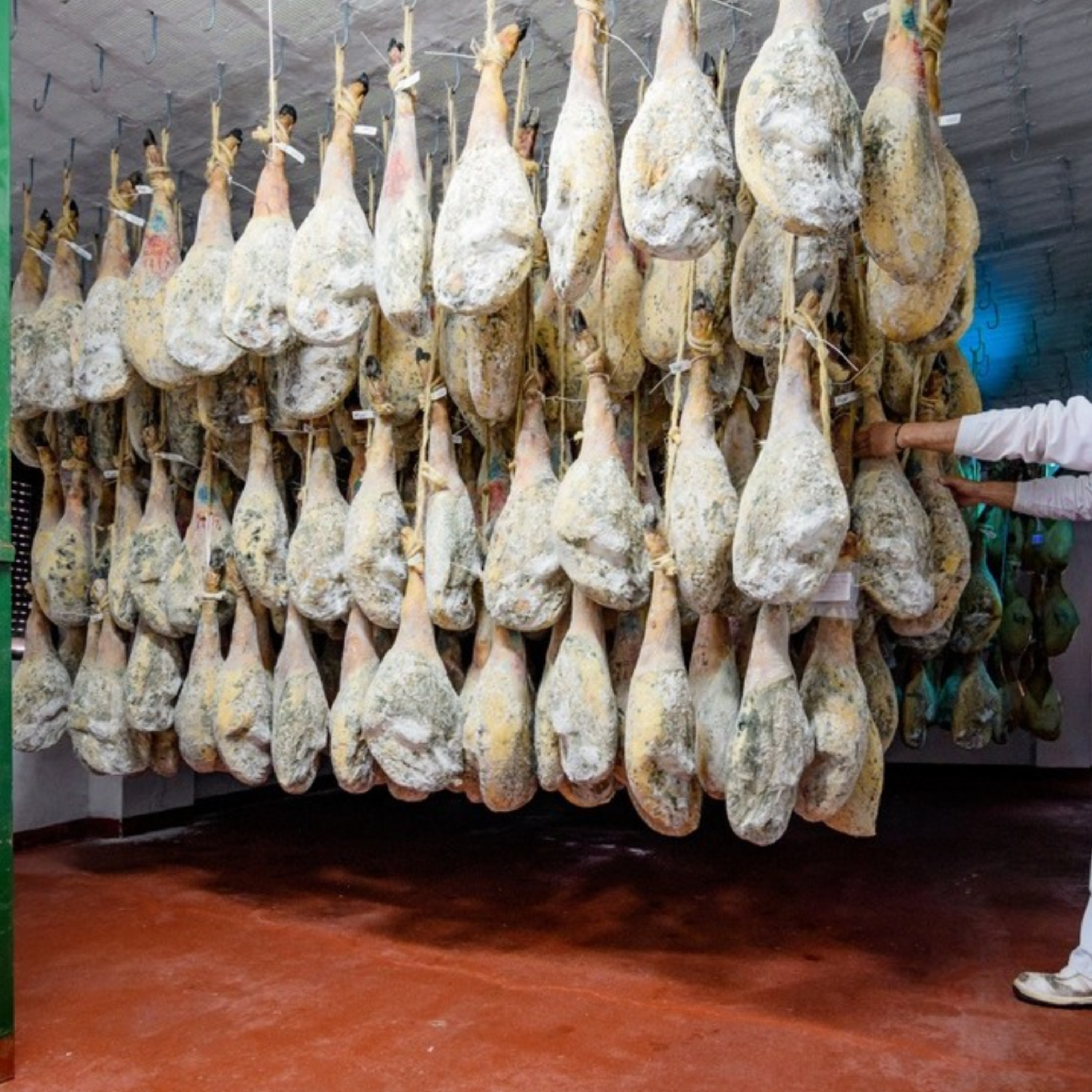 Cotizaciones a 23 de junio de la mesa de despiece de porcino ibérico de Salamanca episode artwork