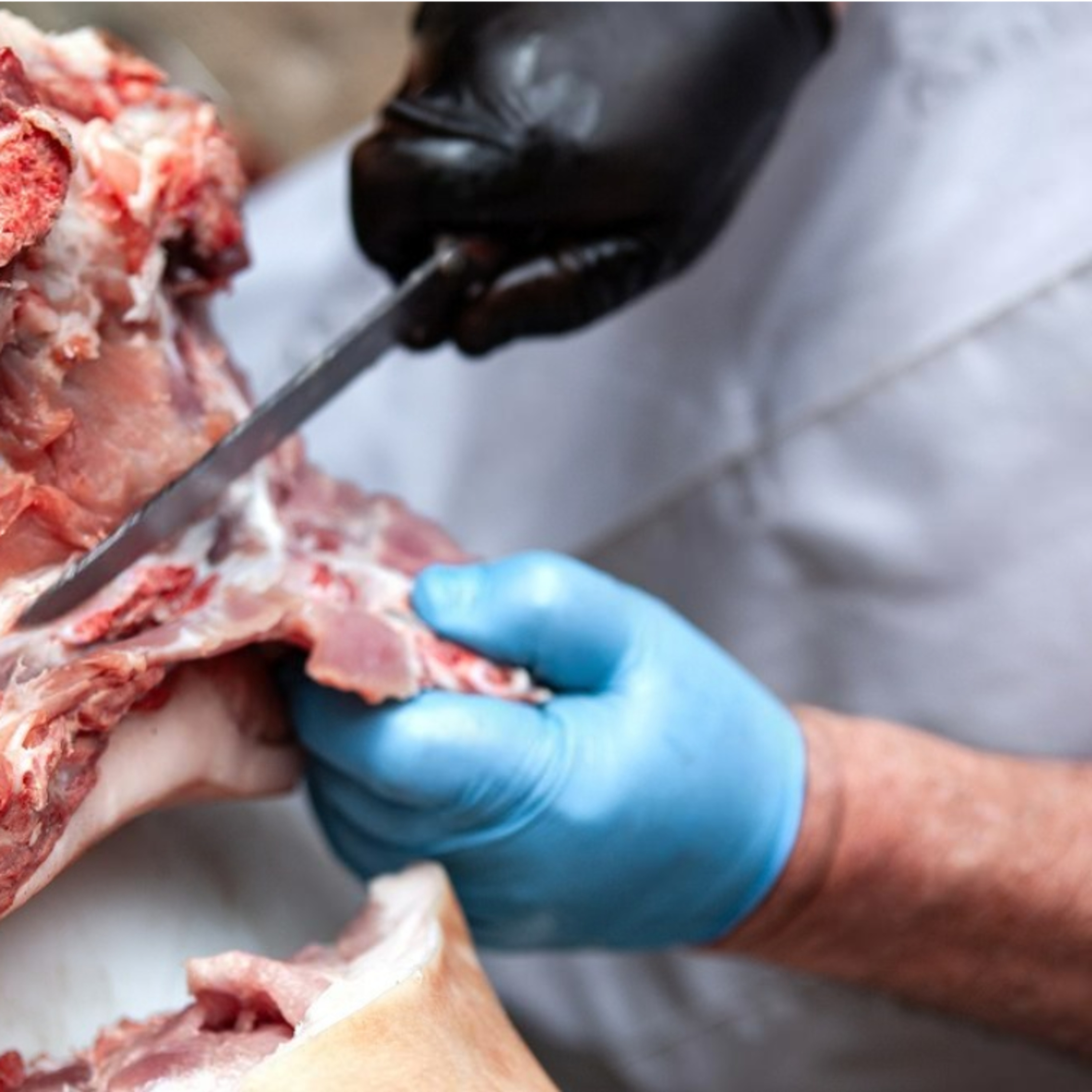 Cotizaciones a 25 de agosto de la mesa de despiece de porcino ibérico de Salamanca episode artwork