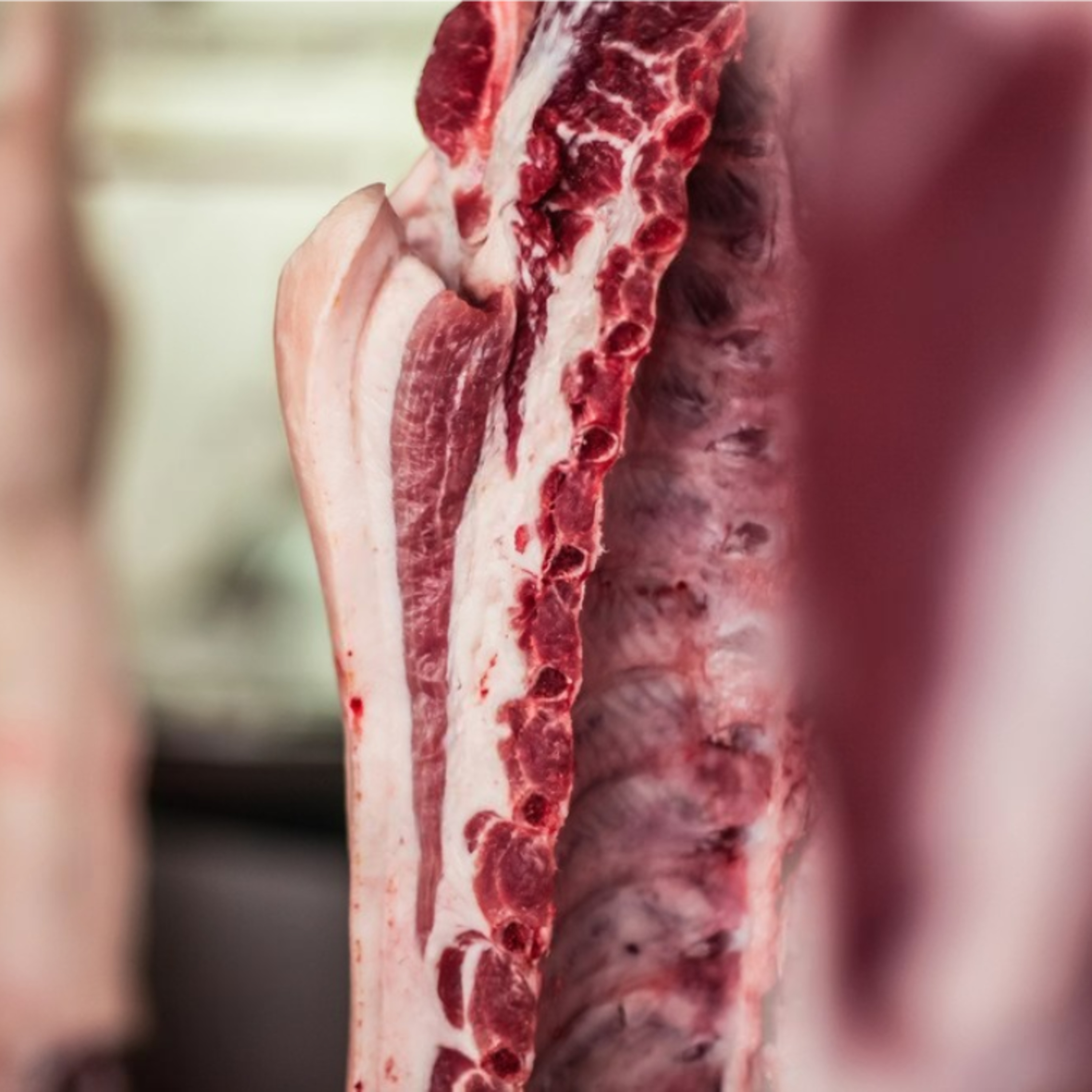 Cotizaciones a 29 de septiembre de 2025 de la mesa de despiece de porcino ibérico de Salamanca episode artwork