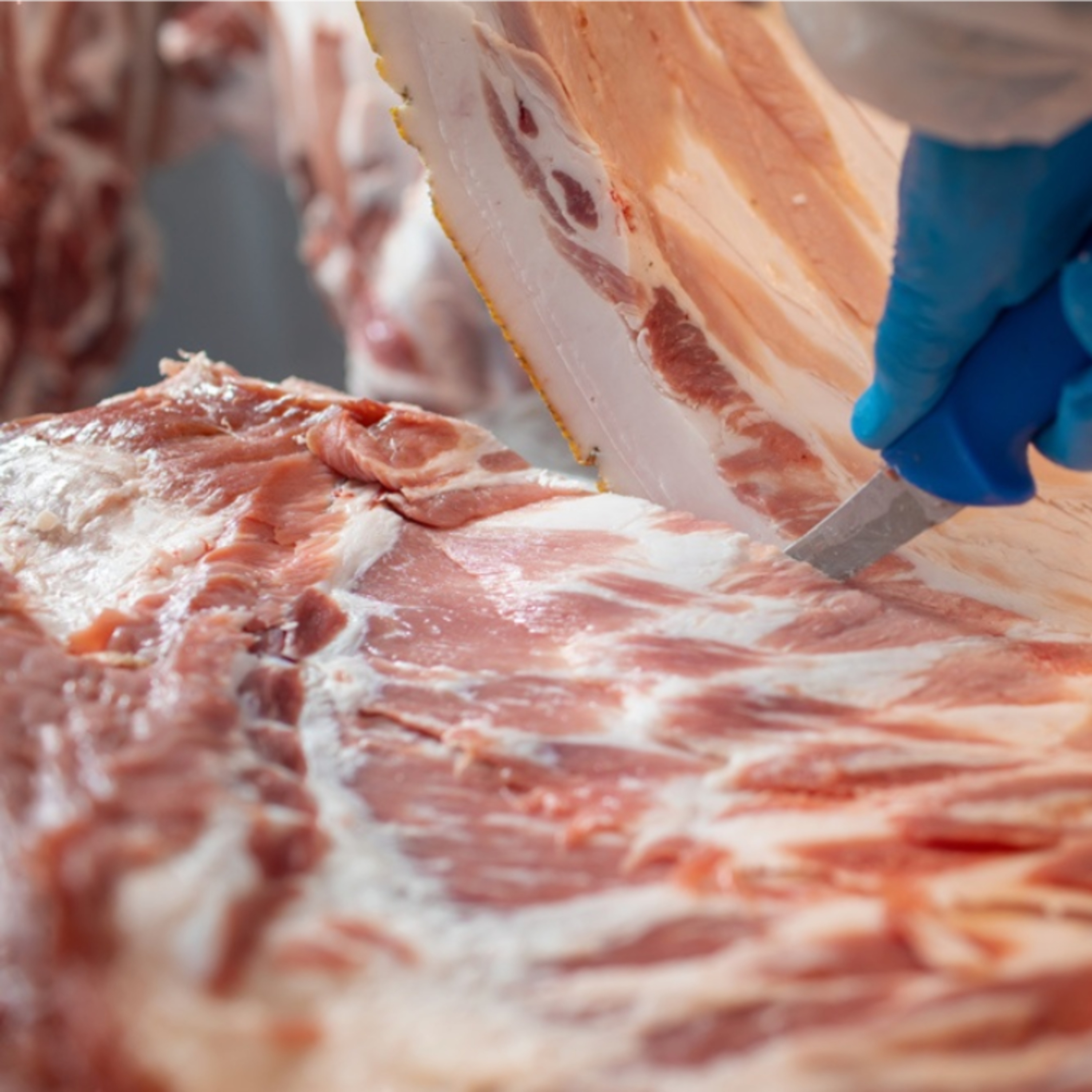 Cotizaciones a 10 de noviembre de 2025 de la mesa de despiece de porcino ibérico de Salamanca episode artwork