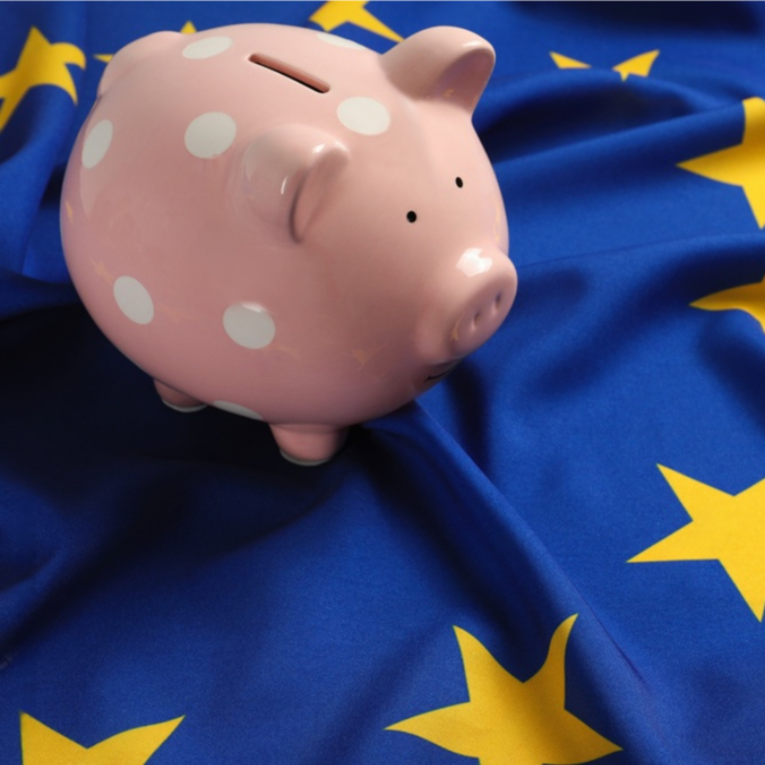 El mercado porcino europeo busca su suelo tras la Navidad ante una oferta abundante episode artwork