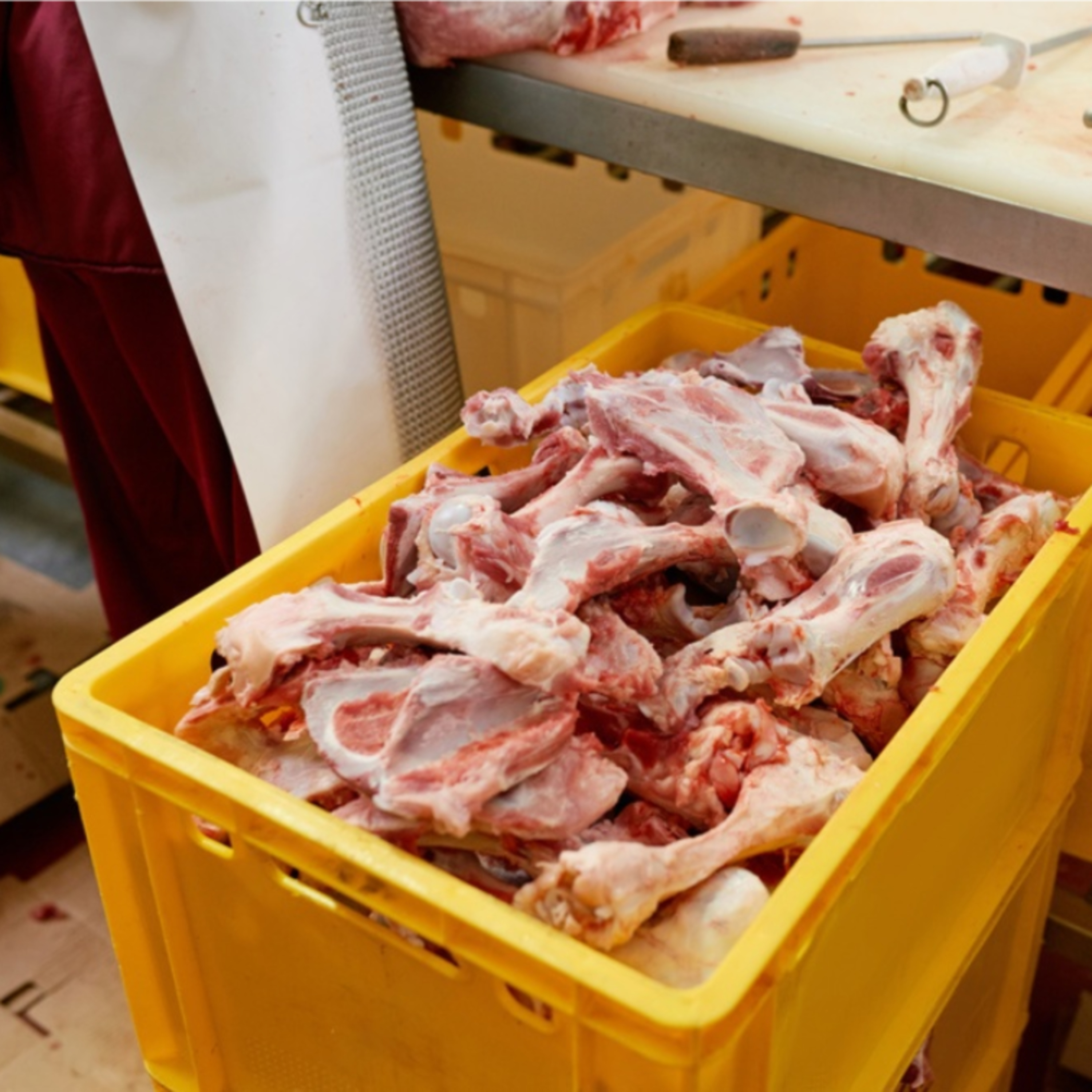 GO IBERVAL avanza en la selección de subproductos del cerdo ibérico para su aprovechamiento episode artwork