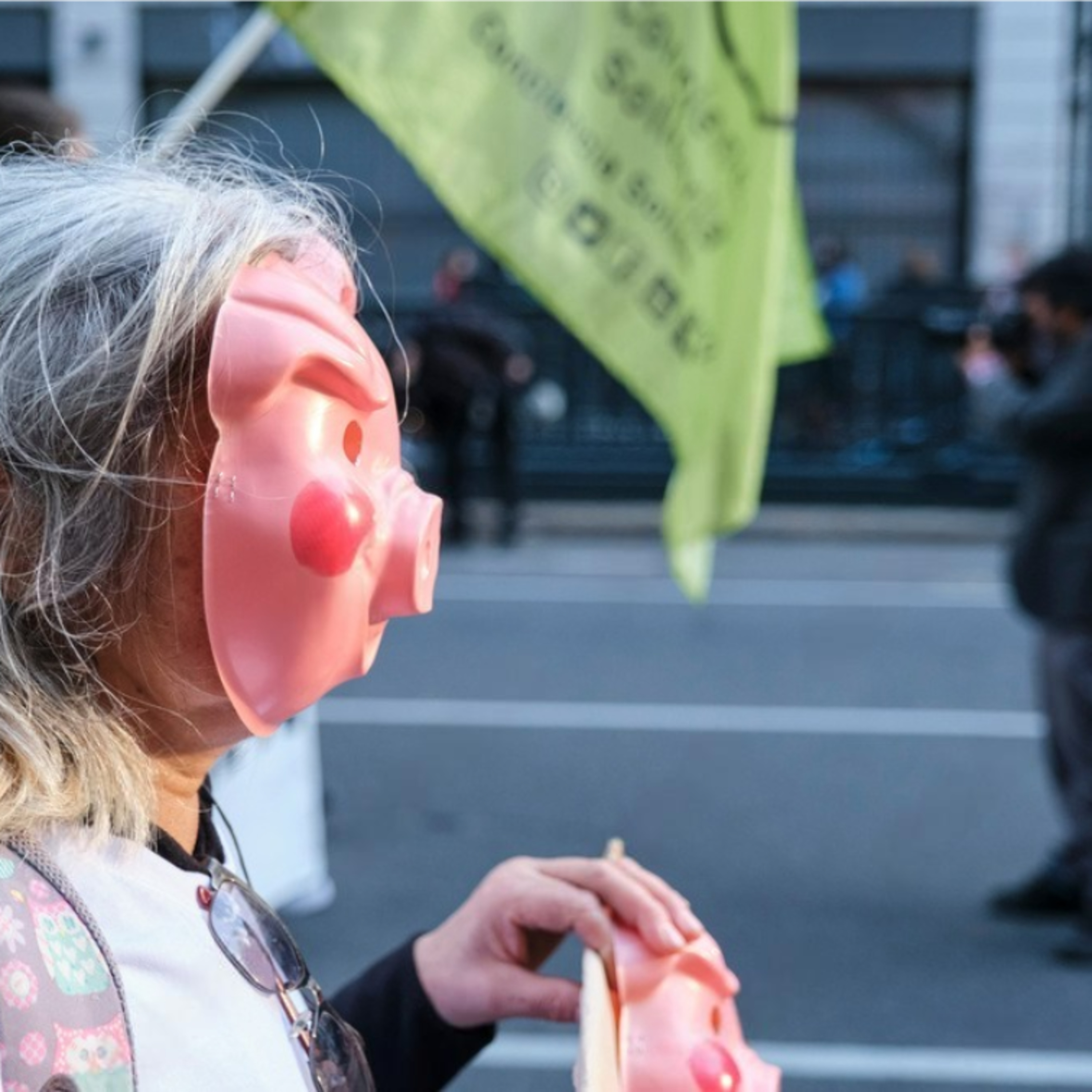 El espejo danés: la presión política sobre el sector porcino y su advertencia para España episode artwork