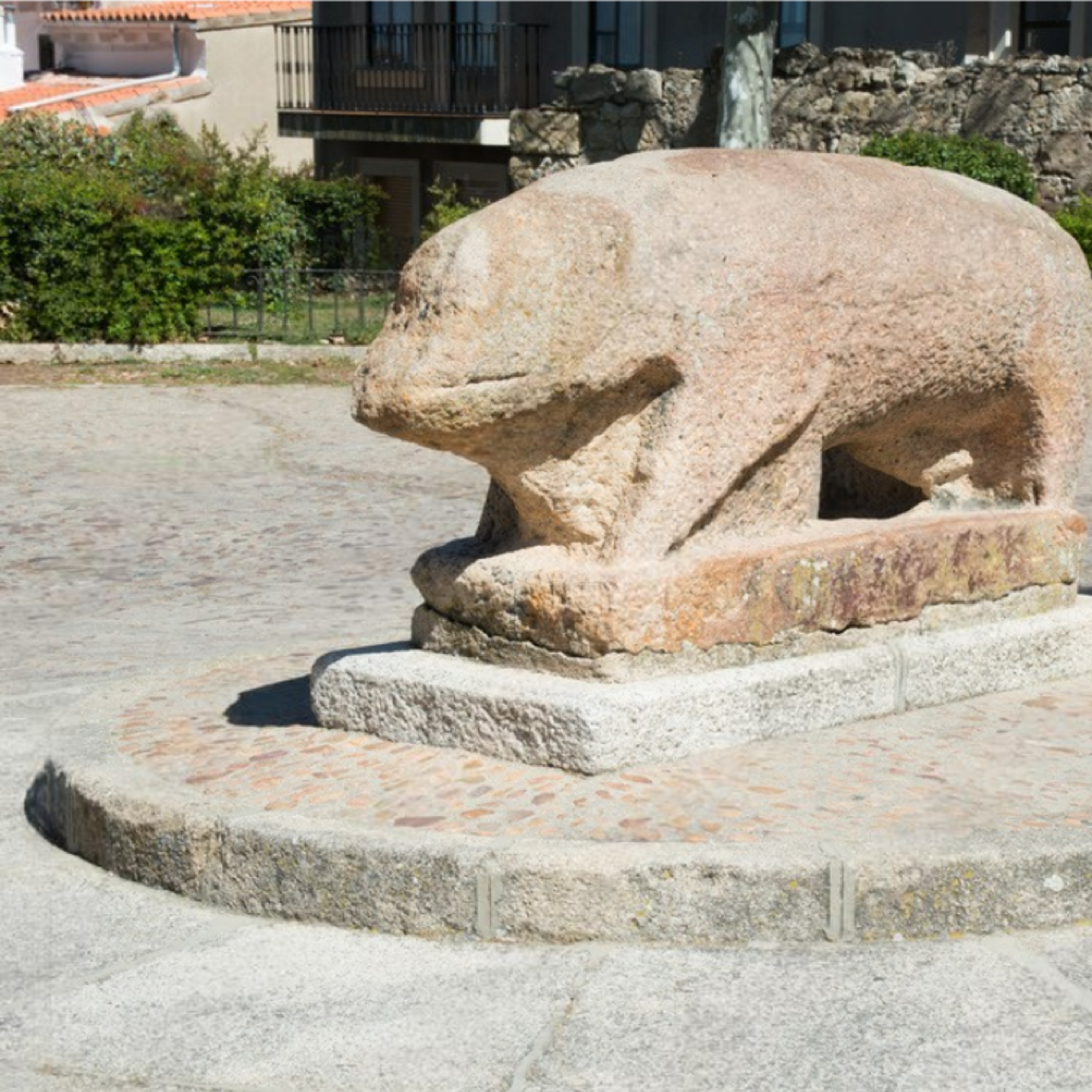 Cotizaciones a 25 de mayo de la mesa de porcino ibérico de Salamanca episode artwork