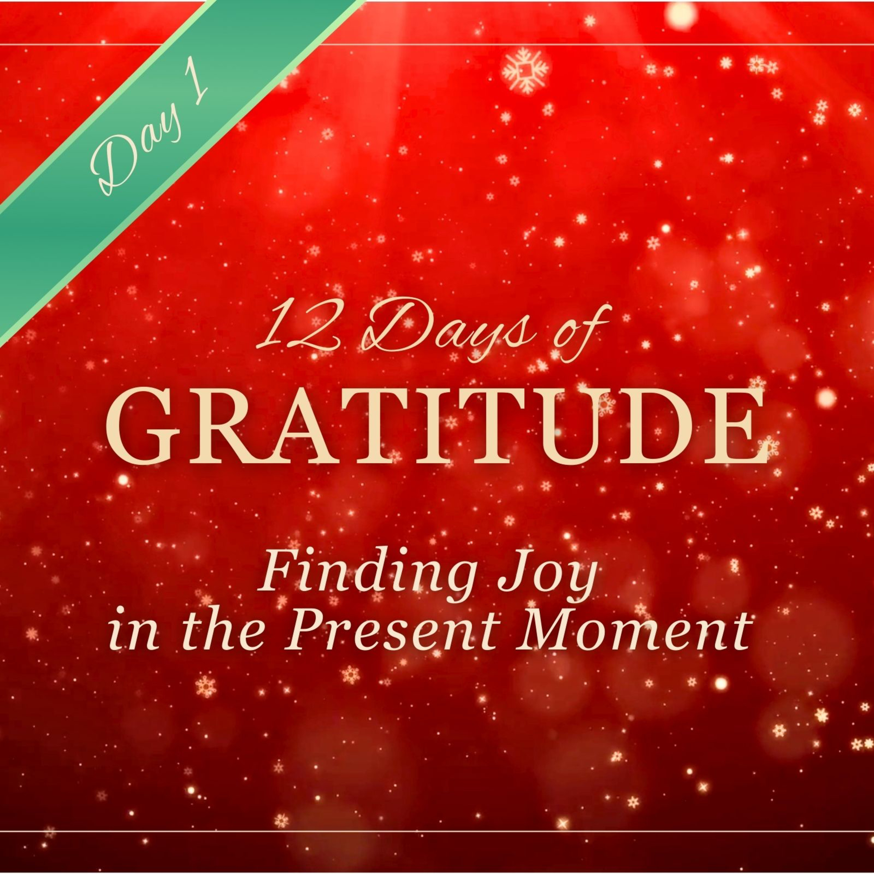 Finding Joy in the Present Moment ✨ DAY 1 ✨ 12 Days of GRATITUDE Affirmation Meditation
