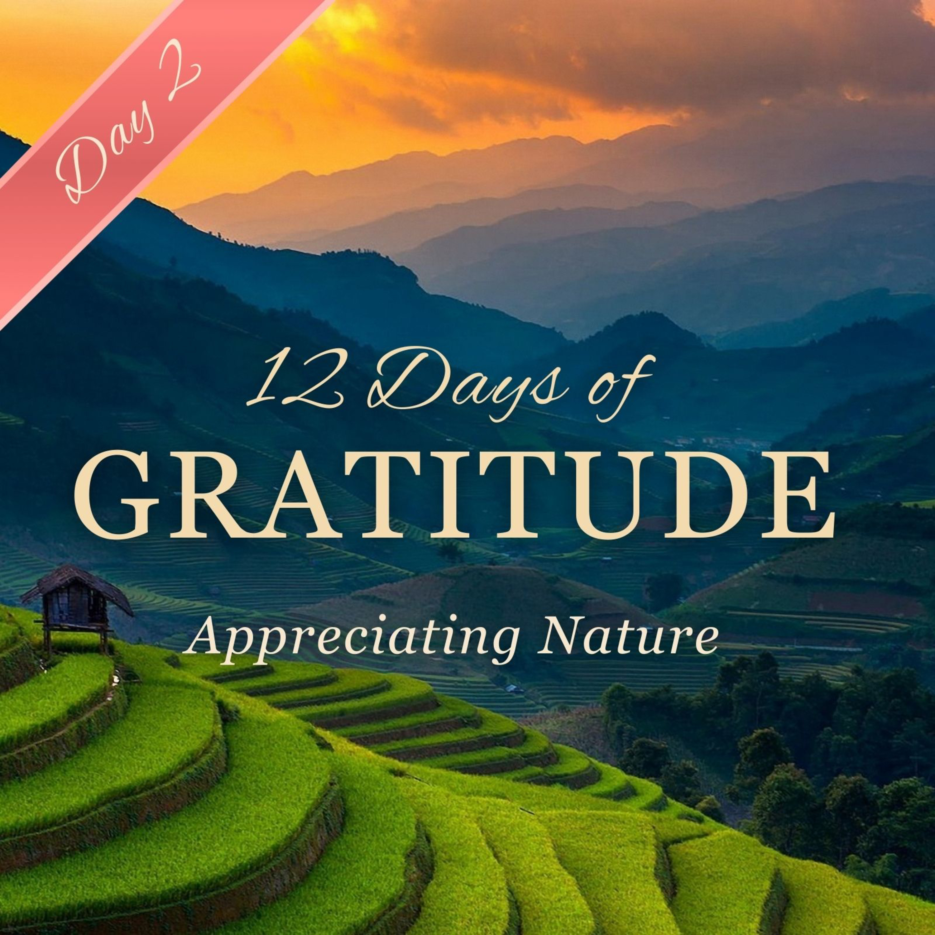 Appreciating Nature 🌱🌲✨ DAY 2 ✨ 12 Days of GRATITUDE Affirmation Meditation