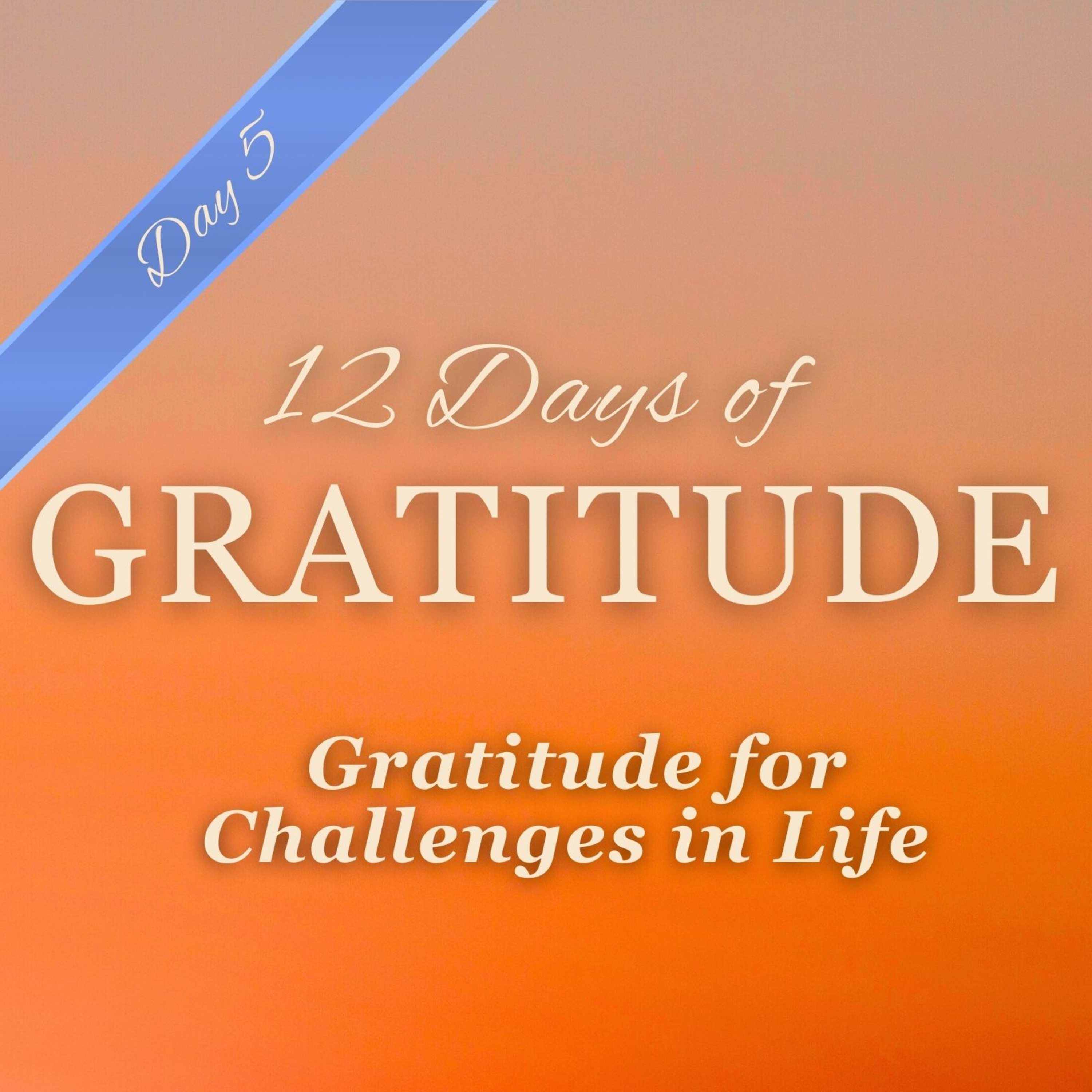 Gratitude for Challenges 🏔🧗🏽 ✨ DAY 5 ✨ 12 Days of GRATITUDE Affirmation Meditations