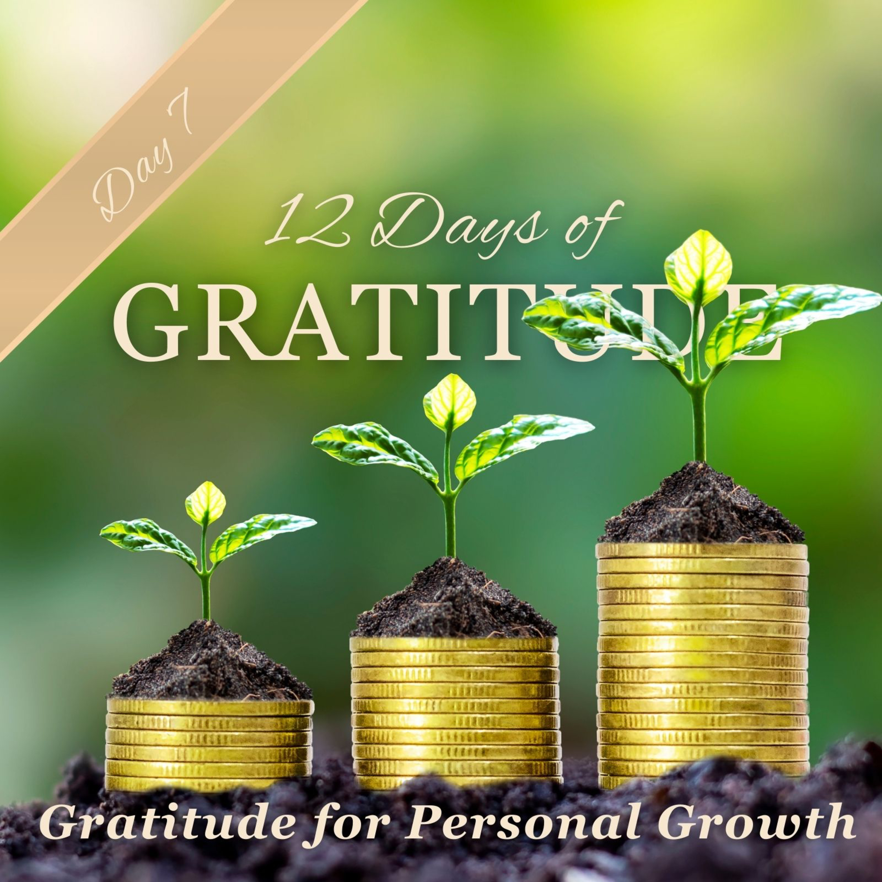 Gratitude for Personal Growth 🙏 ✨ DAY 7 ✨ 12 Days of GRATITUDE Affirmation Meditations