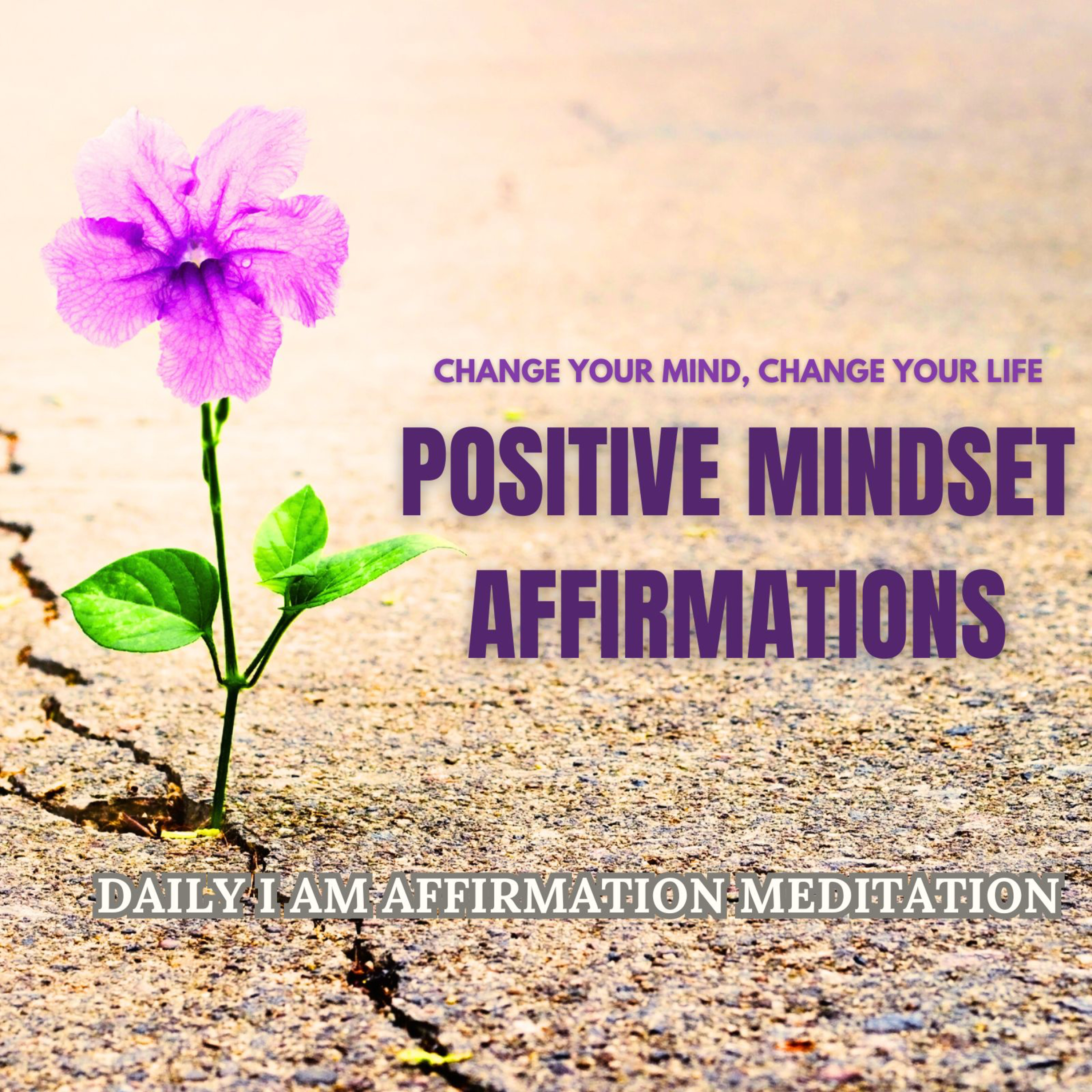 Change your Mindset 🧠 Positive Affirmation Meditation ✨ For Success, Gratitude, Wealth & Abundance ✨