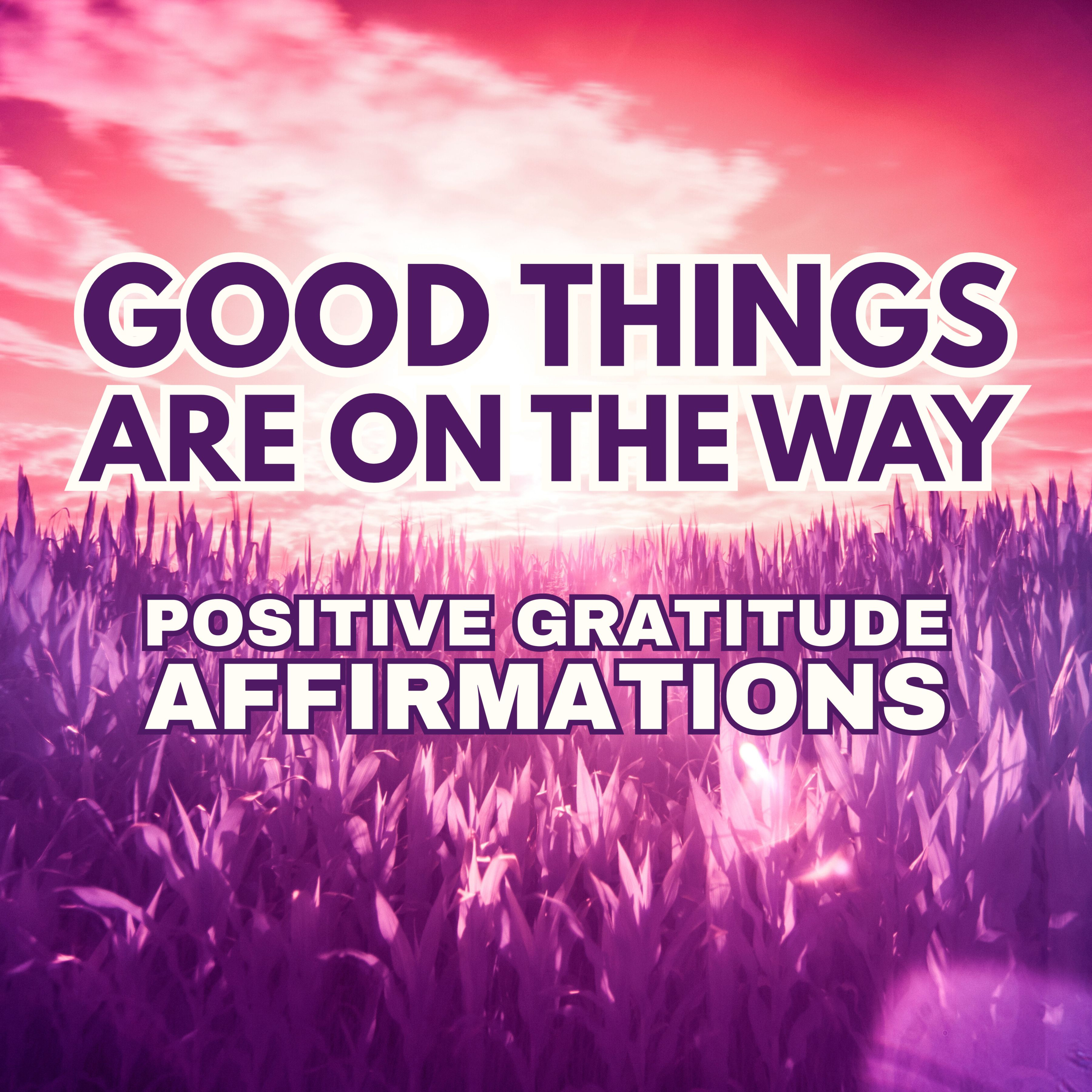 Blessings Incoming | Powerful Positive Gratitude Morning Affirmations ✨