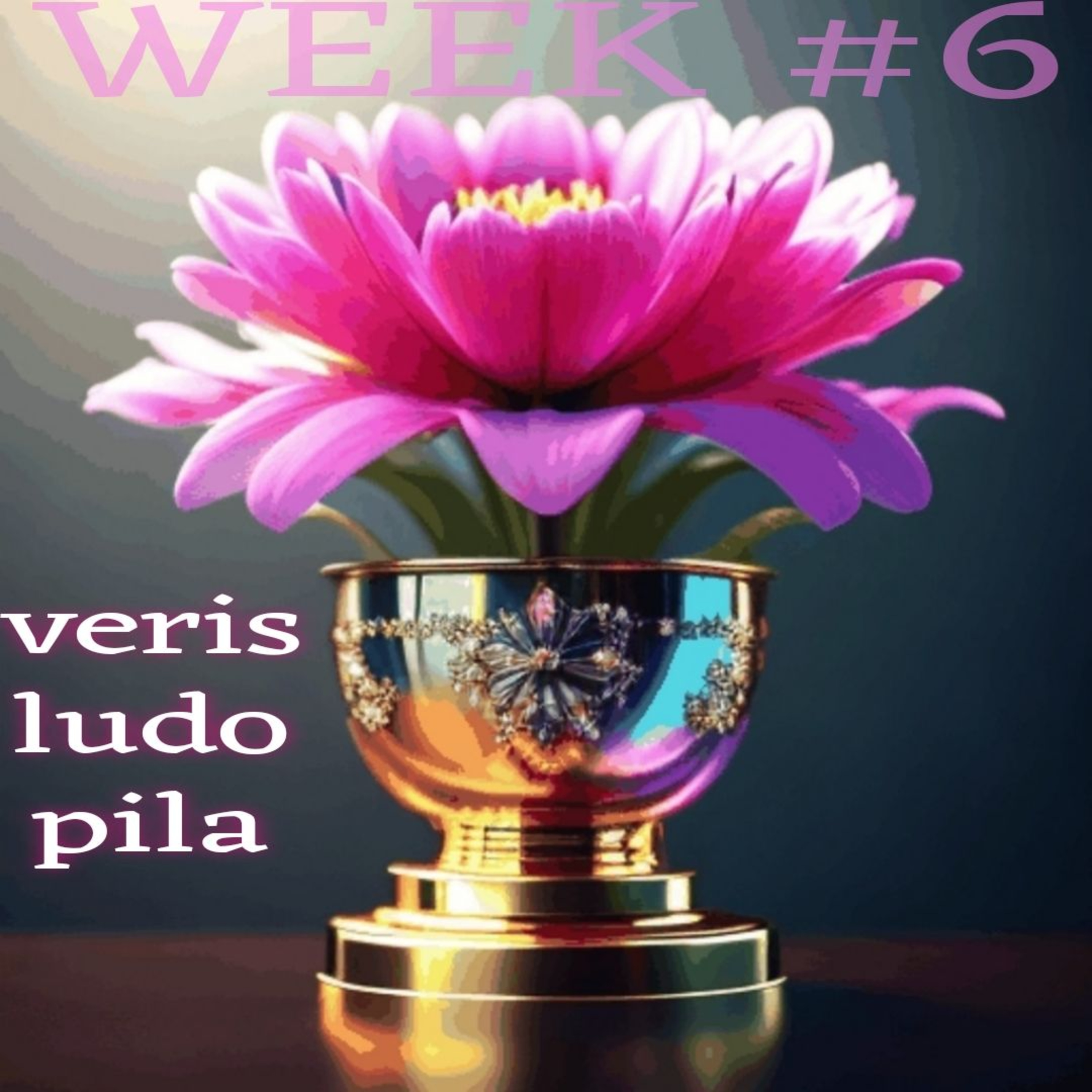 WNFC Week Six Results! VLP 7 episode artwork