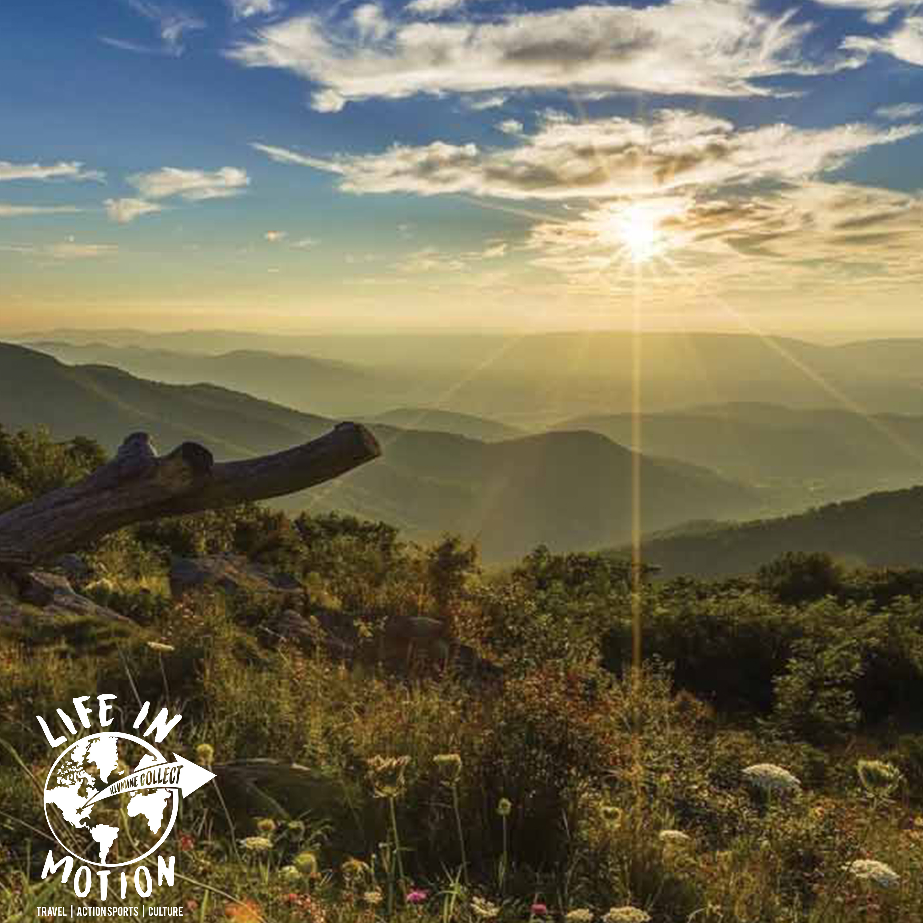 Love The World That Is Housing You - Keeping the outdoors wild and green with Katie Keller of Wild Virginia episode artwork