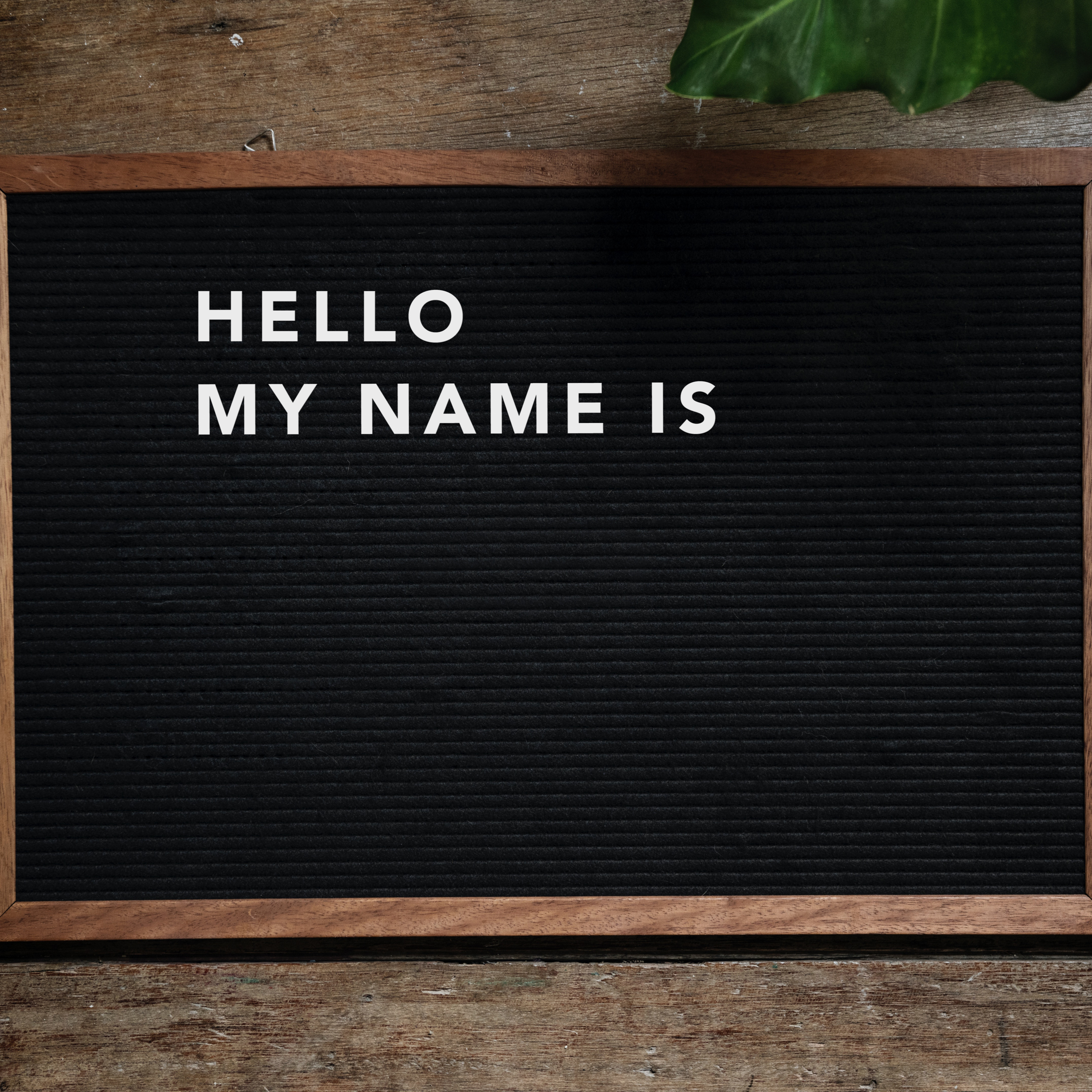 Hello, my name is Wiremu Tamihana episode artwork