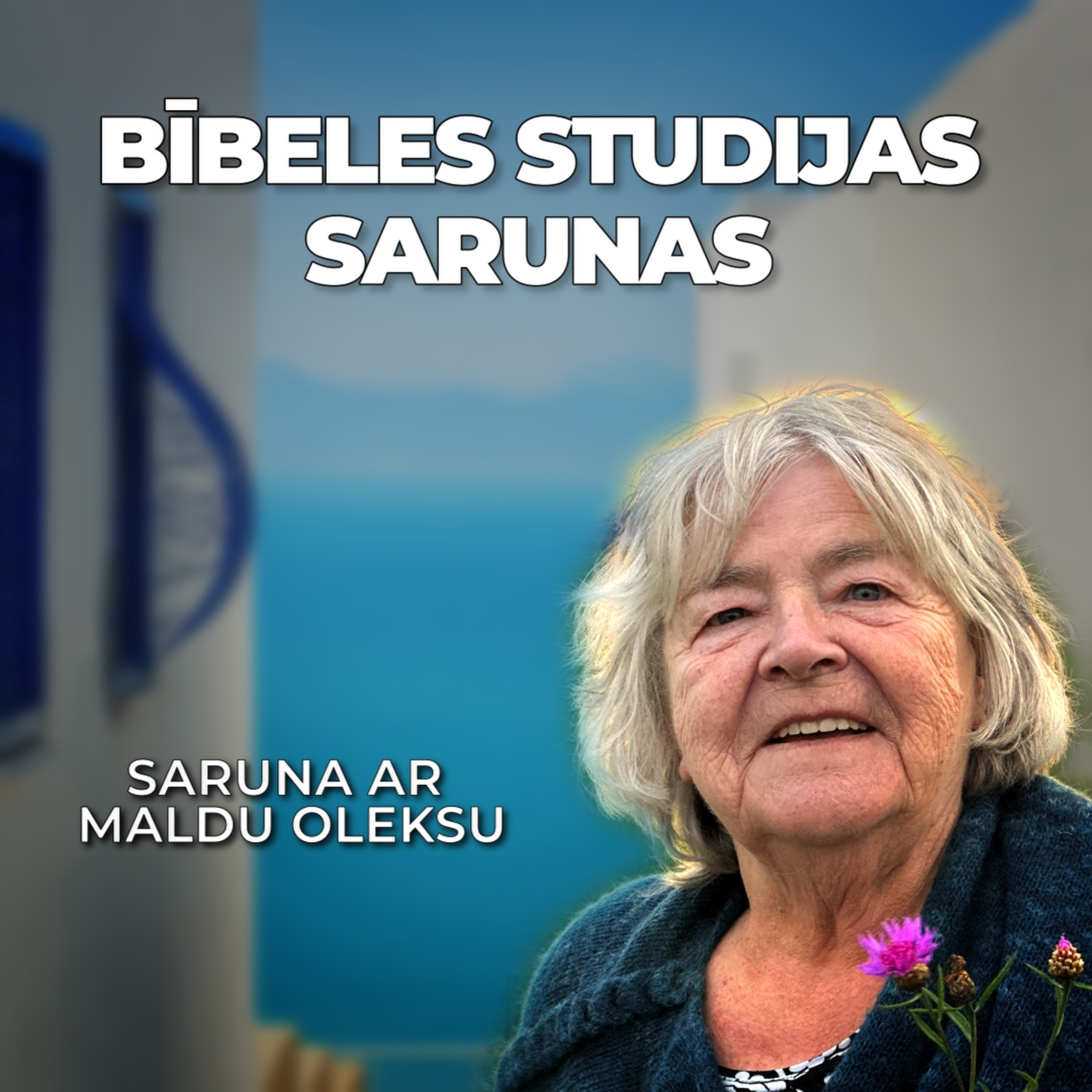Bībeles studijas sarunas. Malda Oleksa /02.07.24/ episode artwork