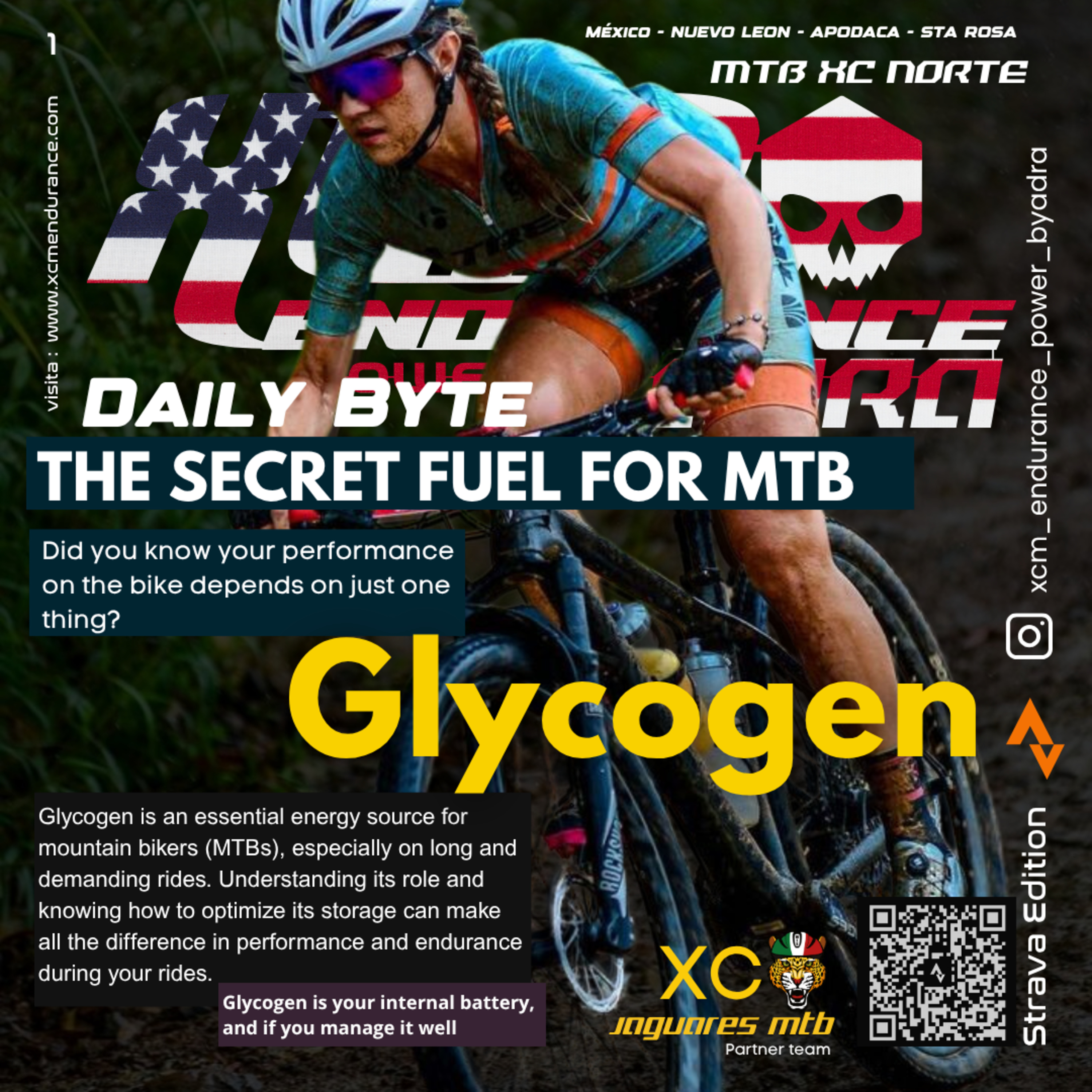 38 - The Importance of Glycogen in MTB episode artwork