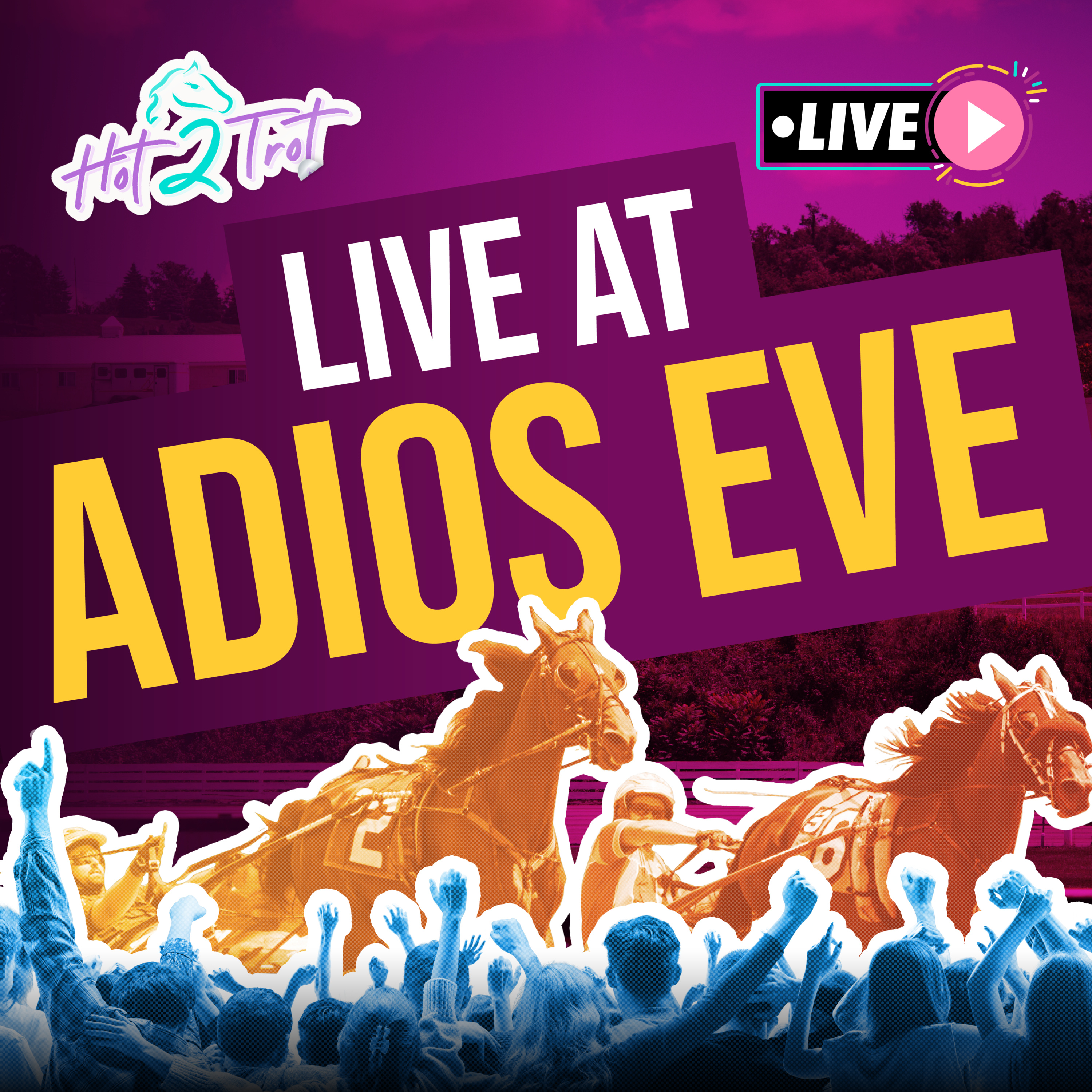 Live at Adios Eve episode artwork