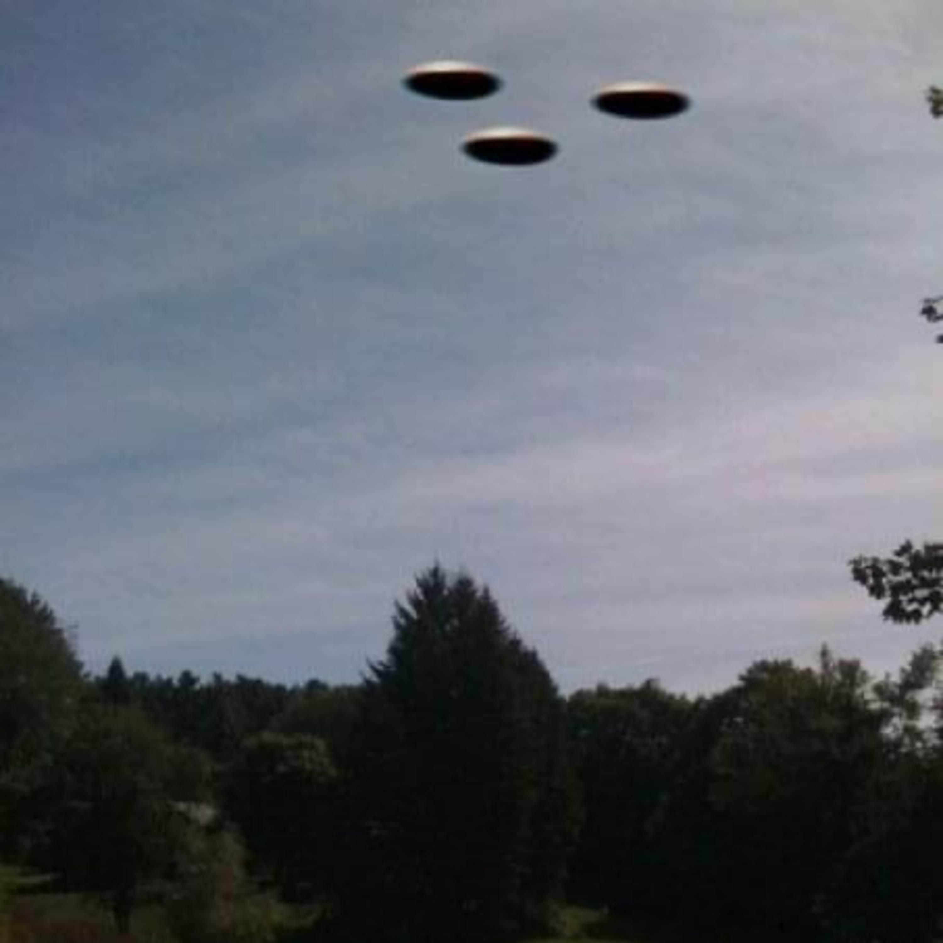 The Abduction Phenomenon: Could you be an Abductee? episode artwork